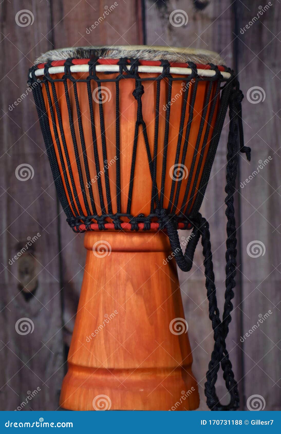 Pretty Percussion Instruments, Conga Ready To Deliver Their Sound