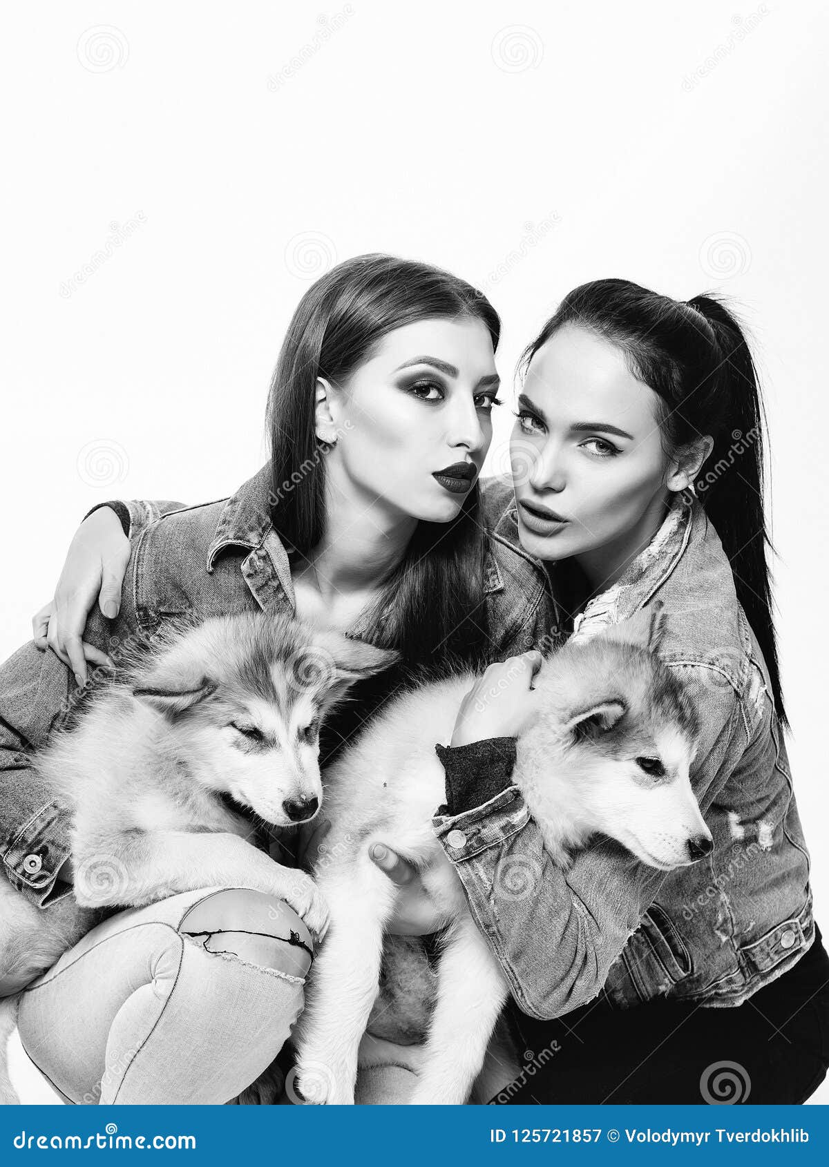 Girls in denim with husky stock image. Image of sexi - 125721857