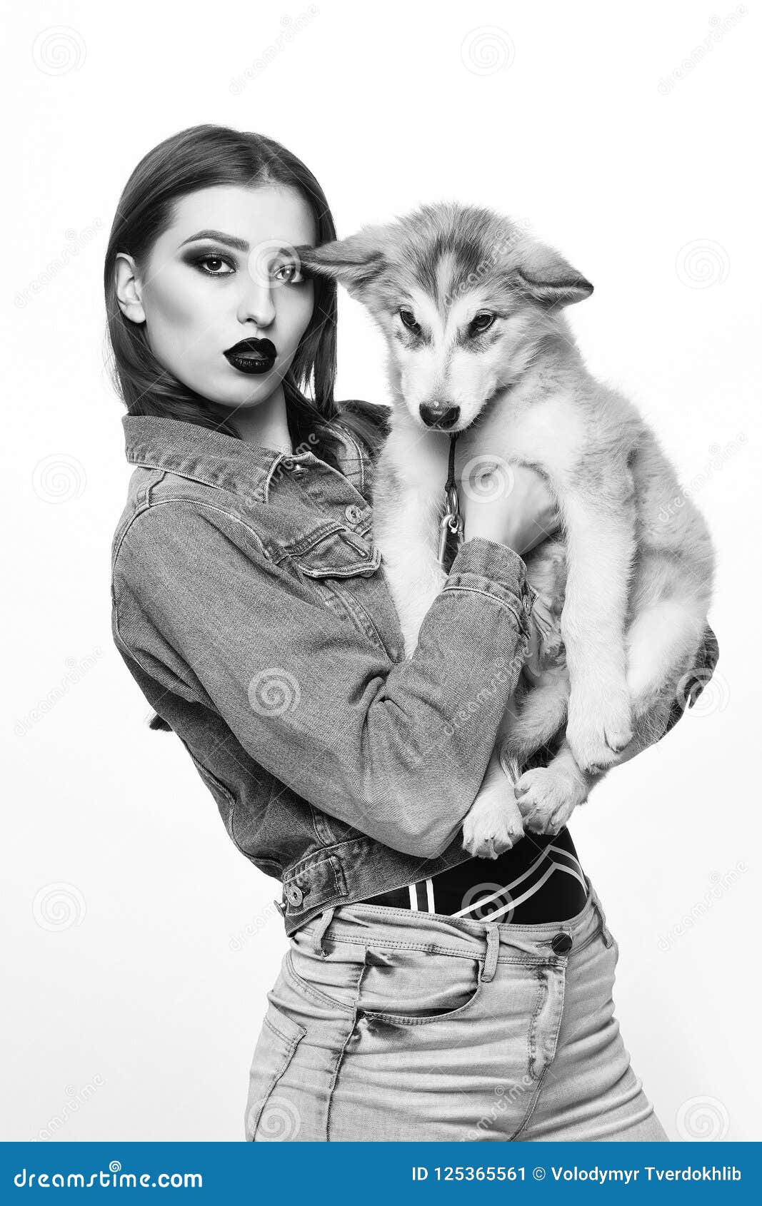 Pretty girl with husky dog stock image. Image of fashionable - 125365561