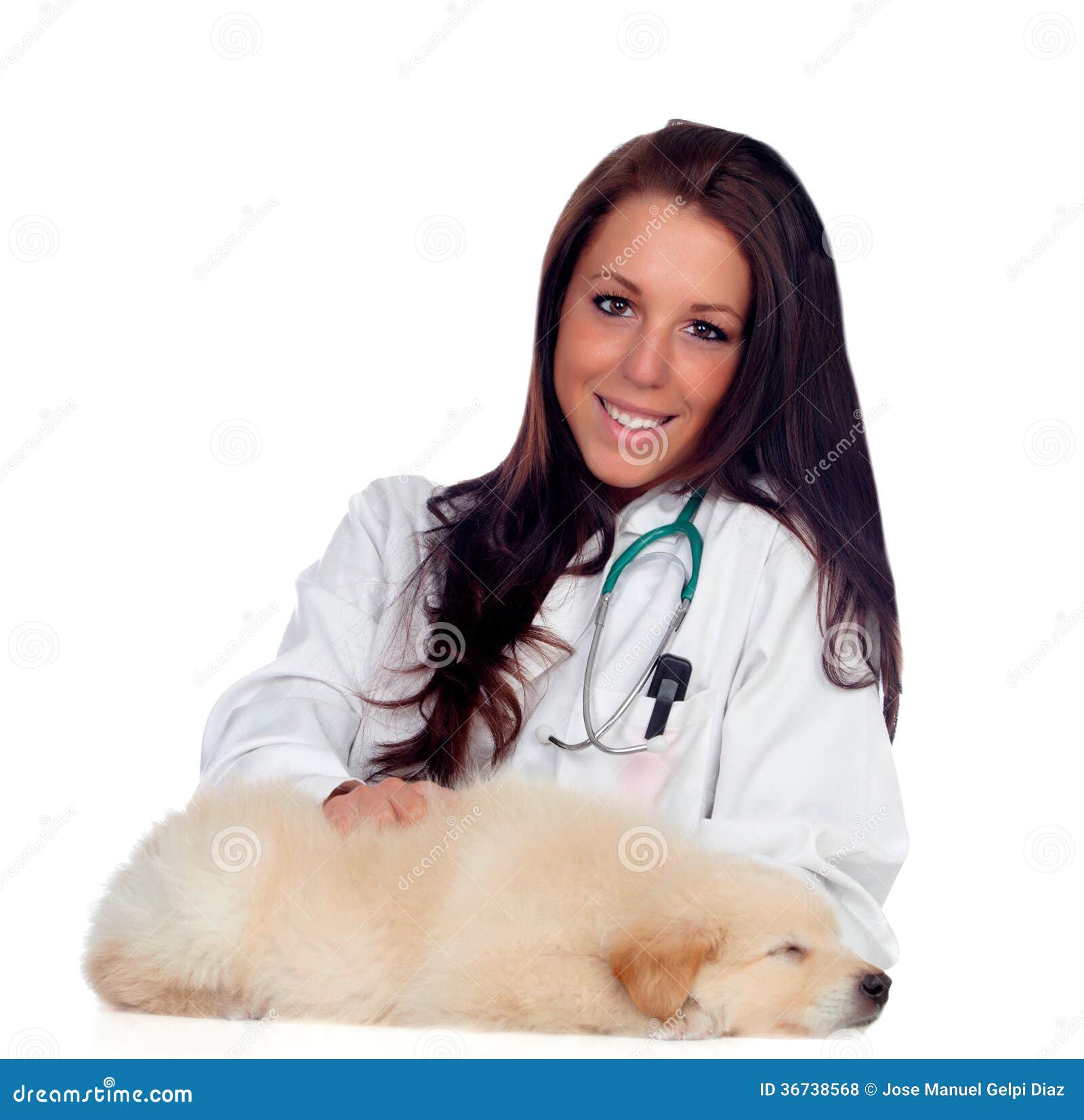 Pretty Vet With A Cute Puppy Sleeping Stock Photo Image of animal