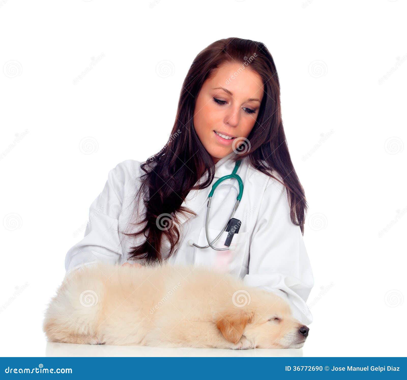 Pretty Vet with a Cute Puppy Sleeping Stock Photo Image of care