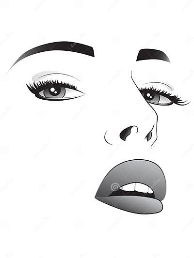 Pretty woman face stock vector. Illustration of decorative - 27852303