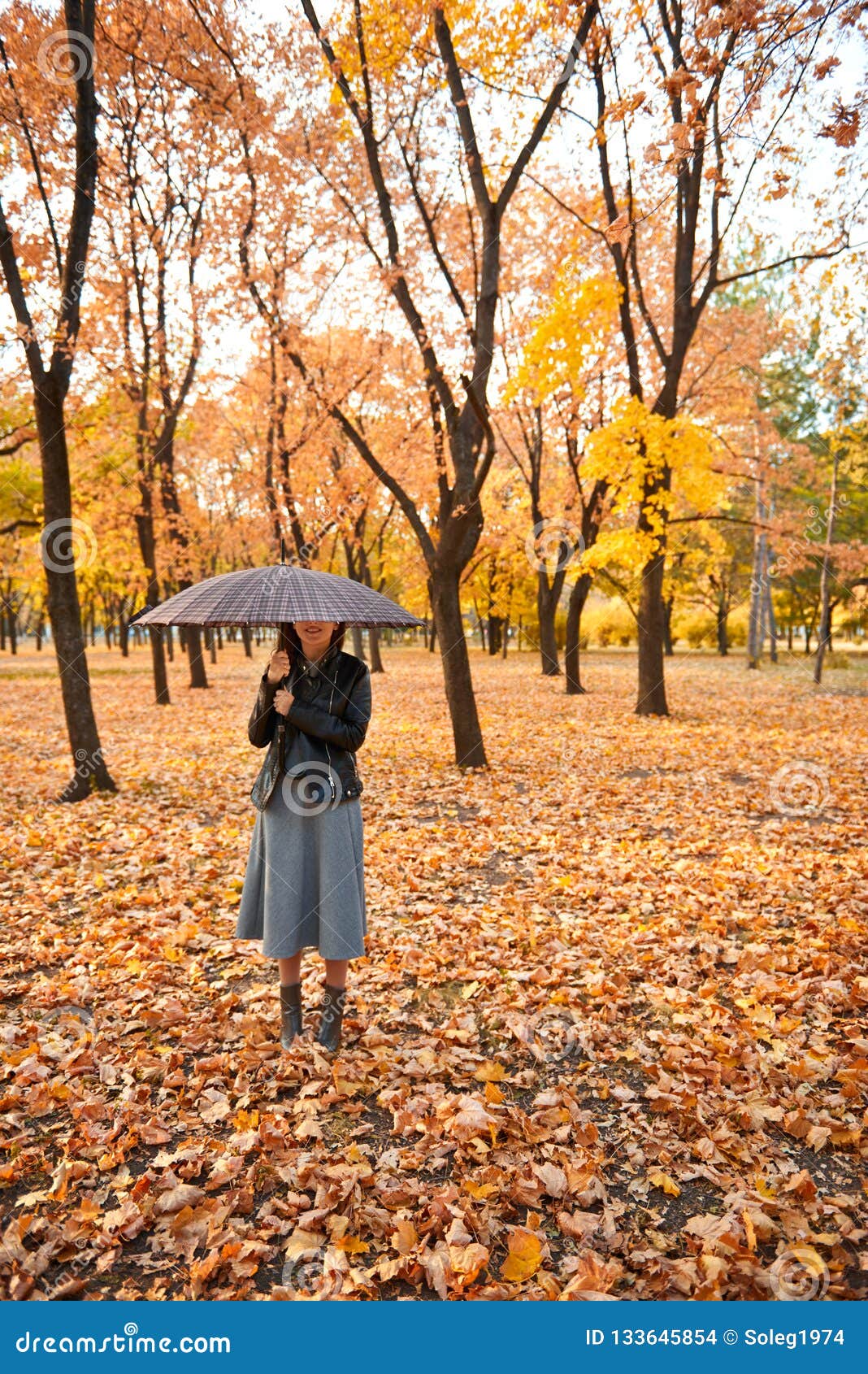 Pretty Woman Posing with Umbrella in Autumn Park. Beautiful Landscape ...