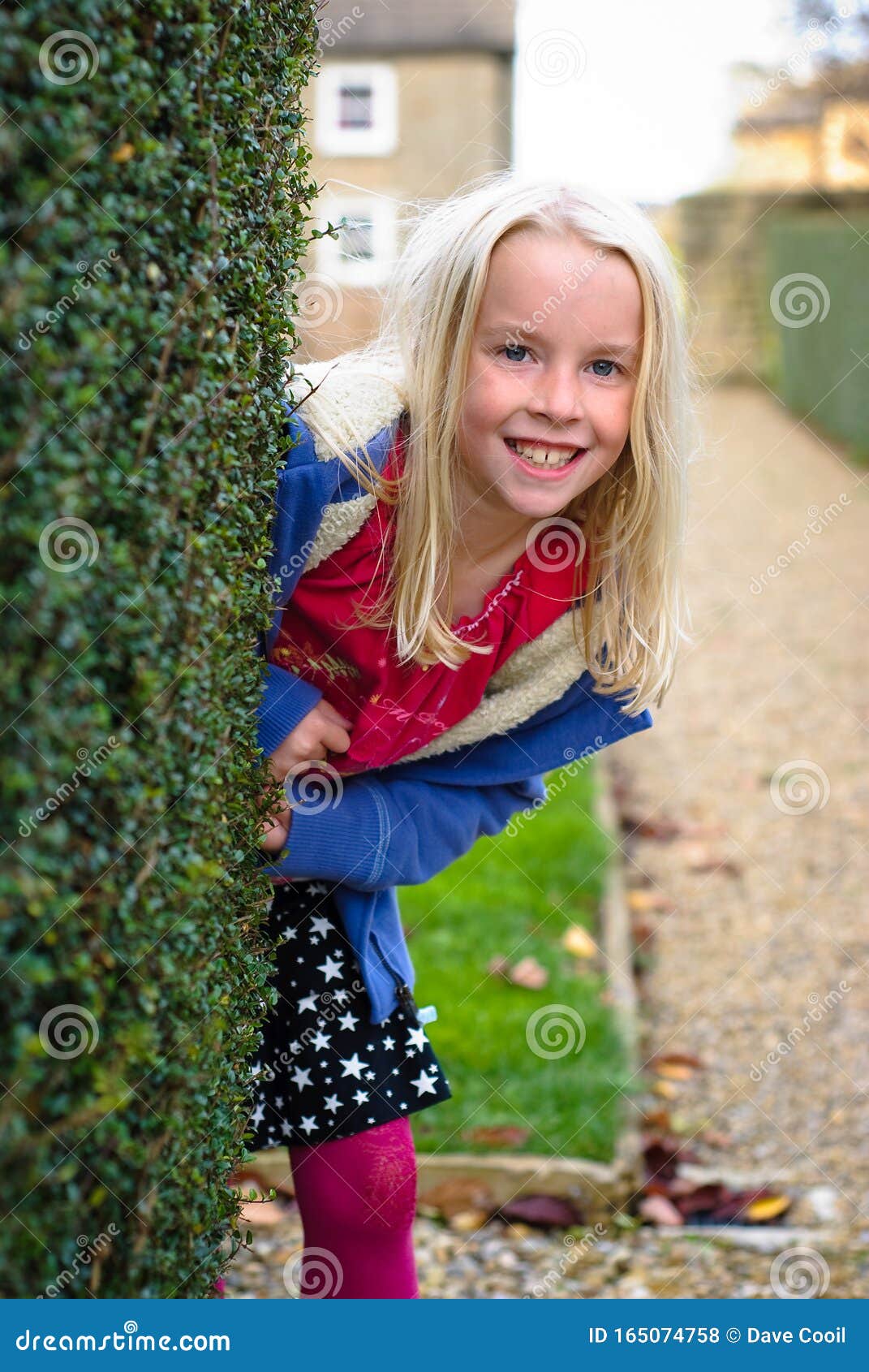 Pretty Young Blonde Girl Peeks Out from Behind a Hedge Stock Photo ...