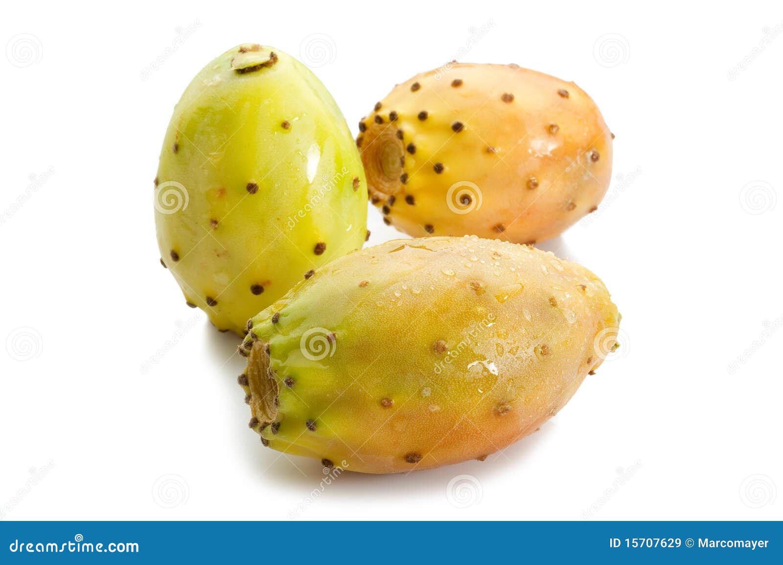Prickly pear fruit stock image. Image of culinary, food 15707629