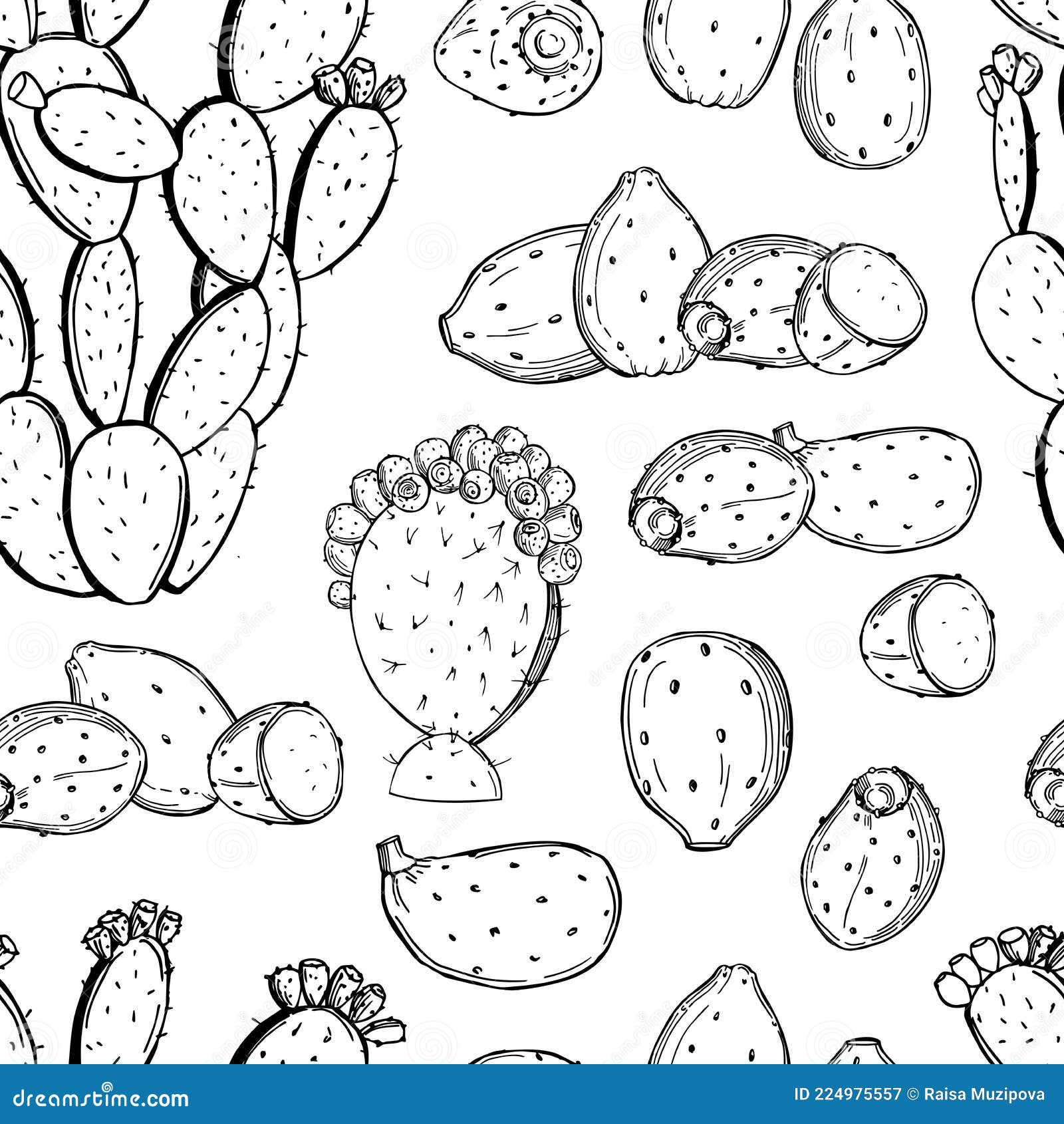 A Prickly Pair Pattern A Prickly Pair Pattern