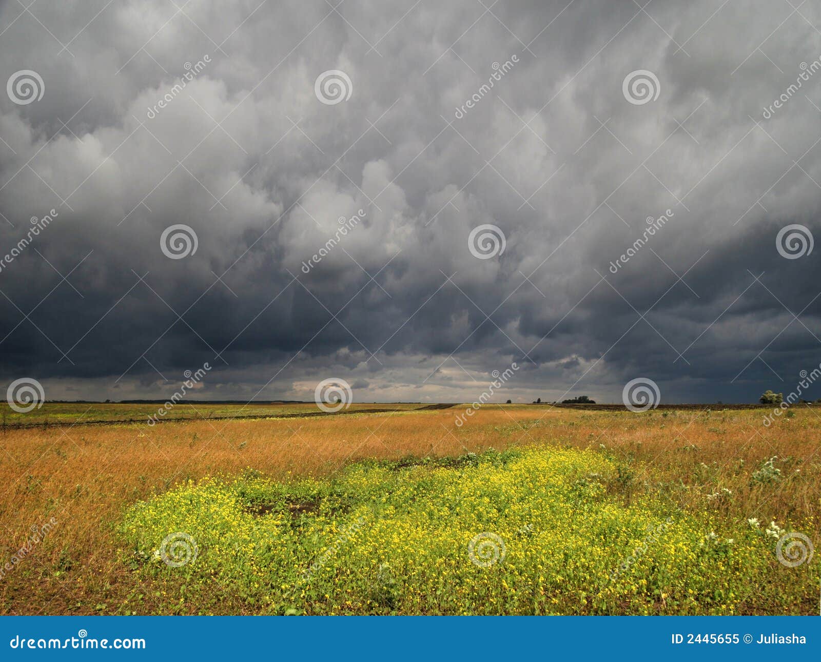 I campi prima del temporale. Natura della Russia.