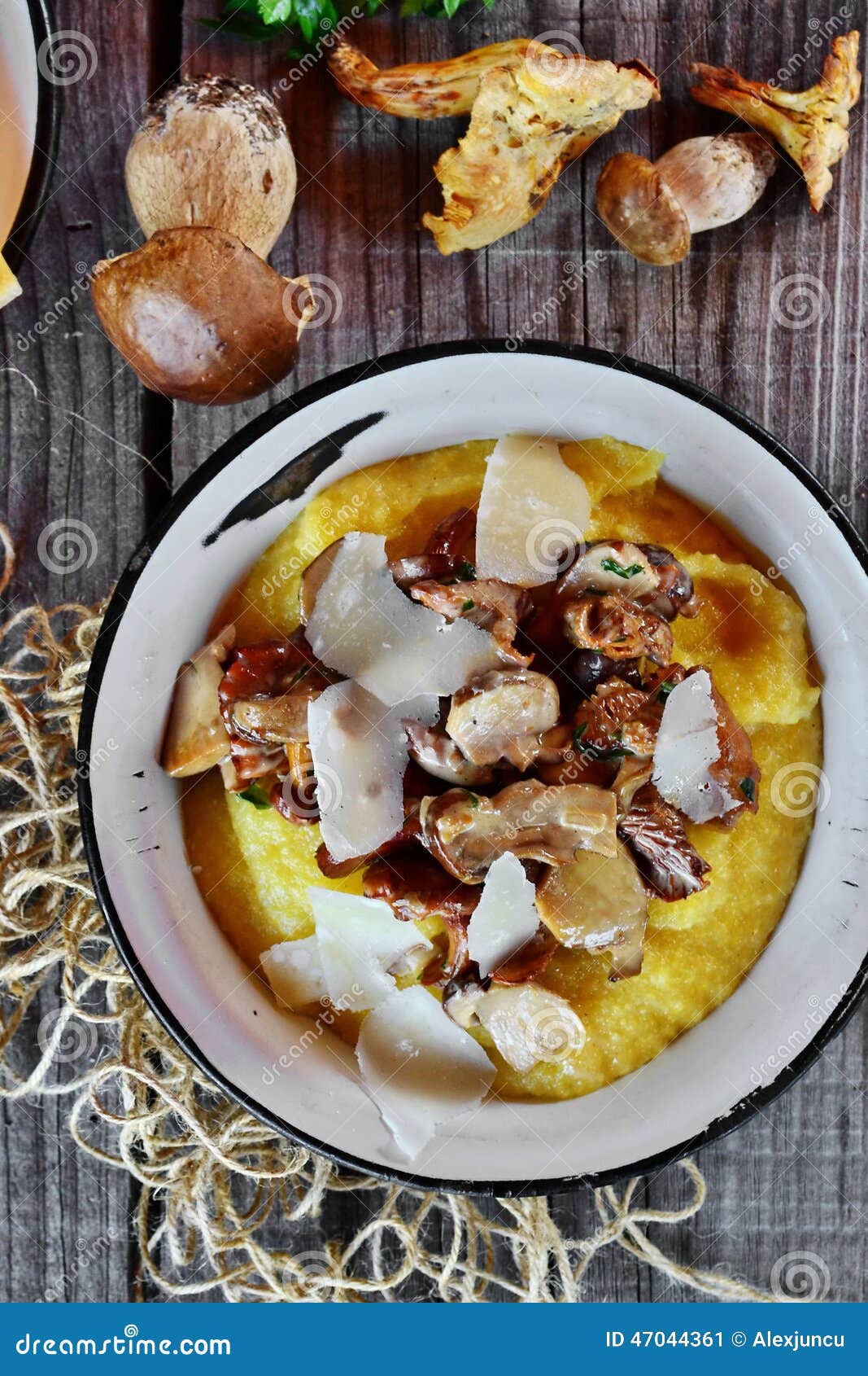 Prima E Cogumelo De Porcini Imagem de Stock Imagem de qualidade