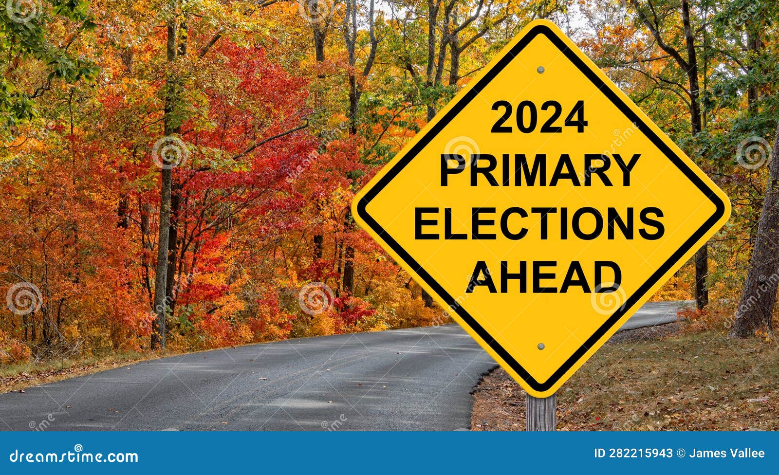 2024 primary elections ahead sign