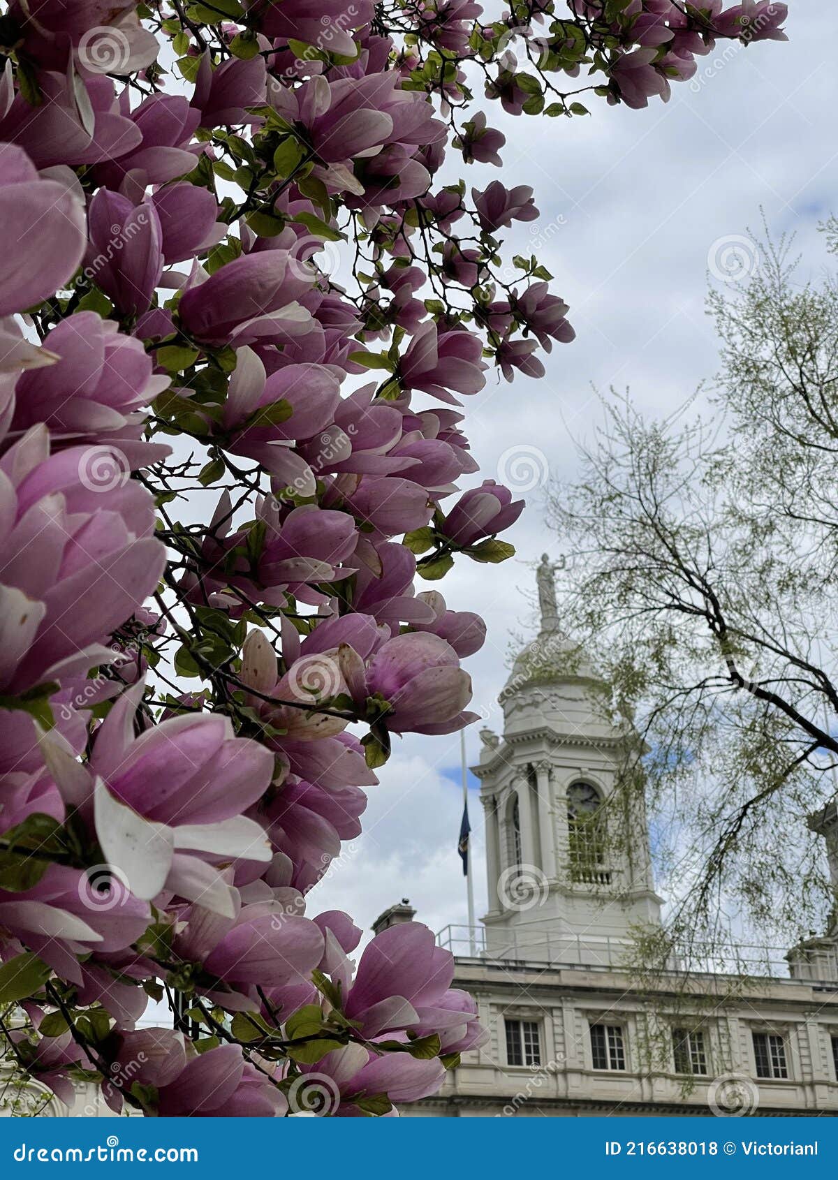 Prefeitura de Primavera