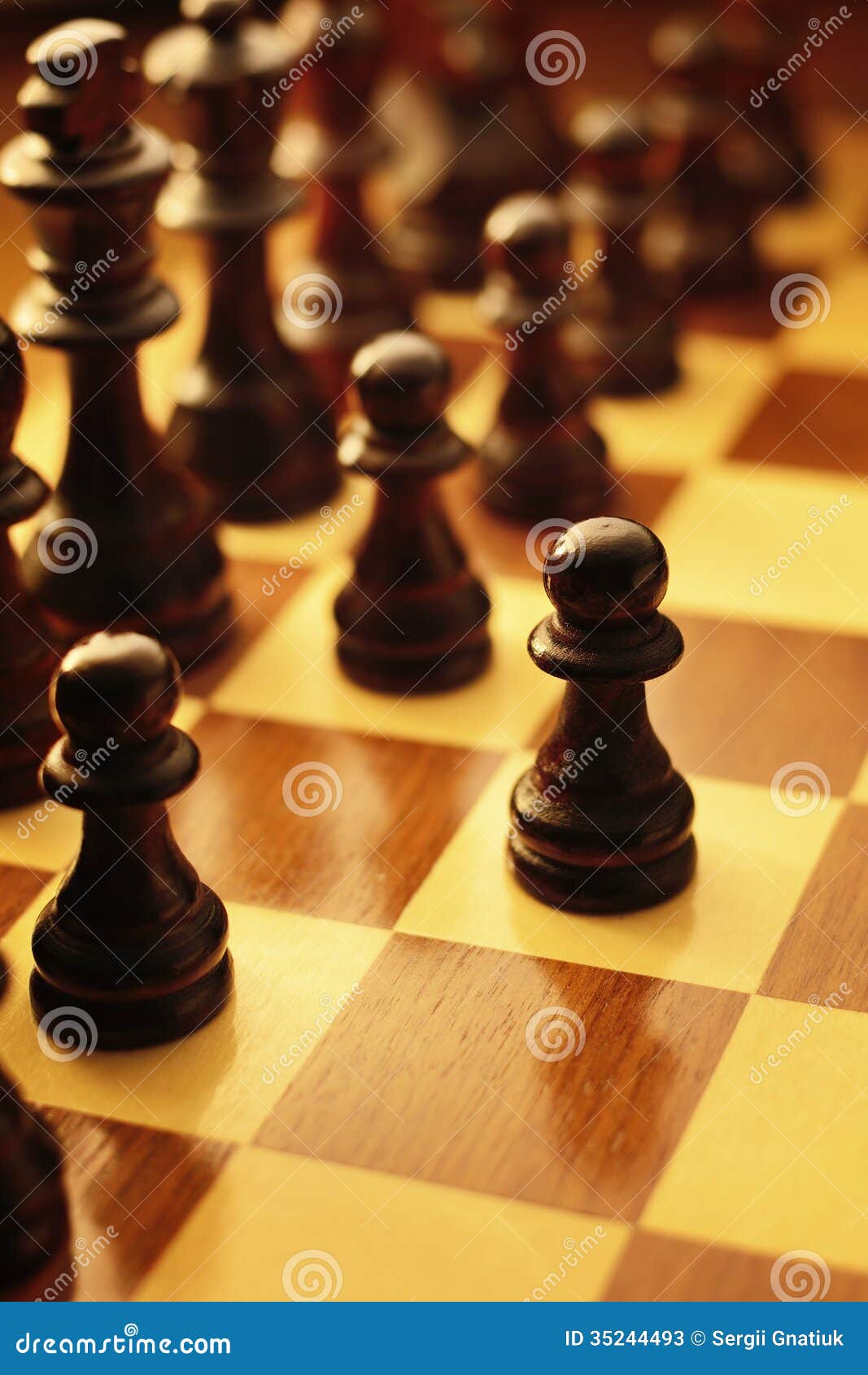Primeiro Movimento Em Um Jogo De Xadrez Imagem de Stock - Imagem de  entretenimento, movimento: 35244493