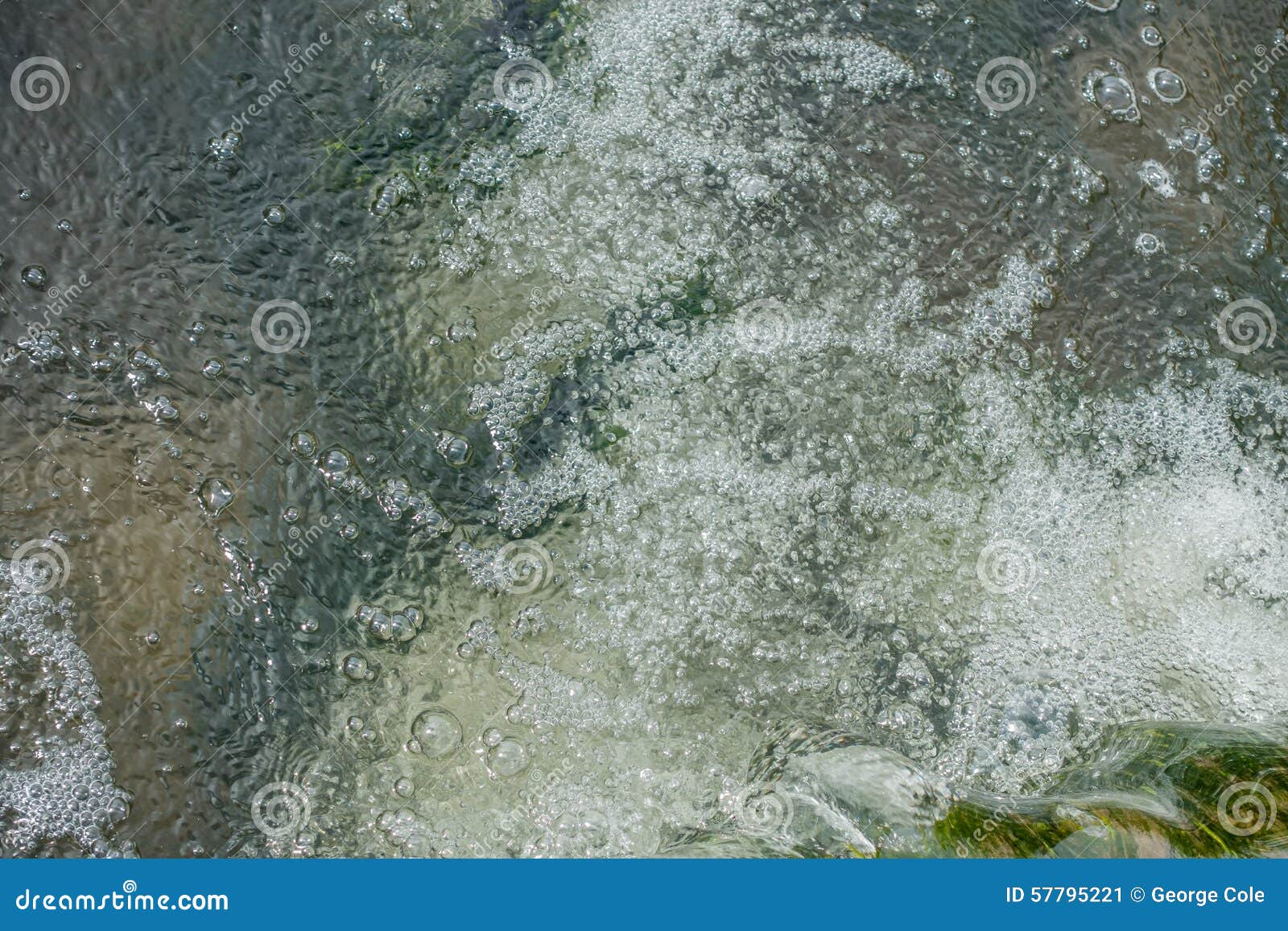 Primer De Agua Dulce De La Corriente Imagen de archivo Imagen de