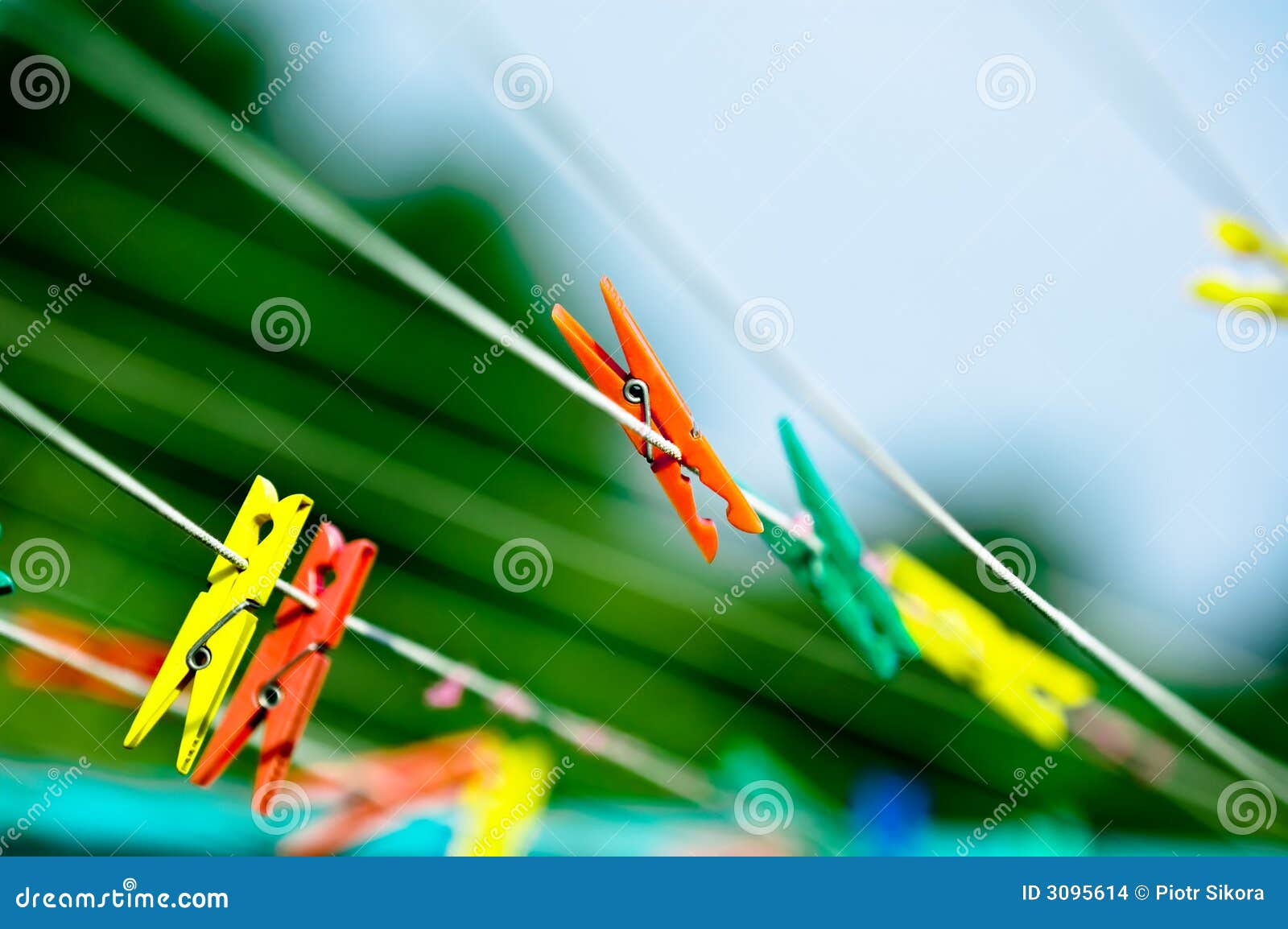 Primer de los Clothespins foto de archivo. Imagen de seco 3095614