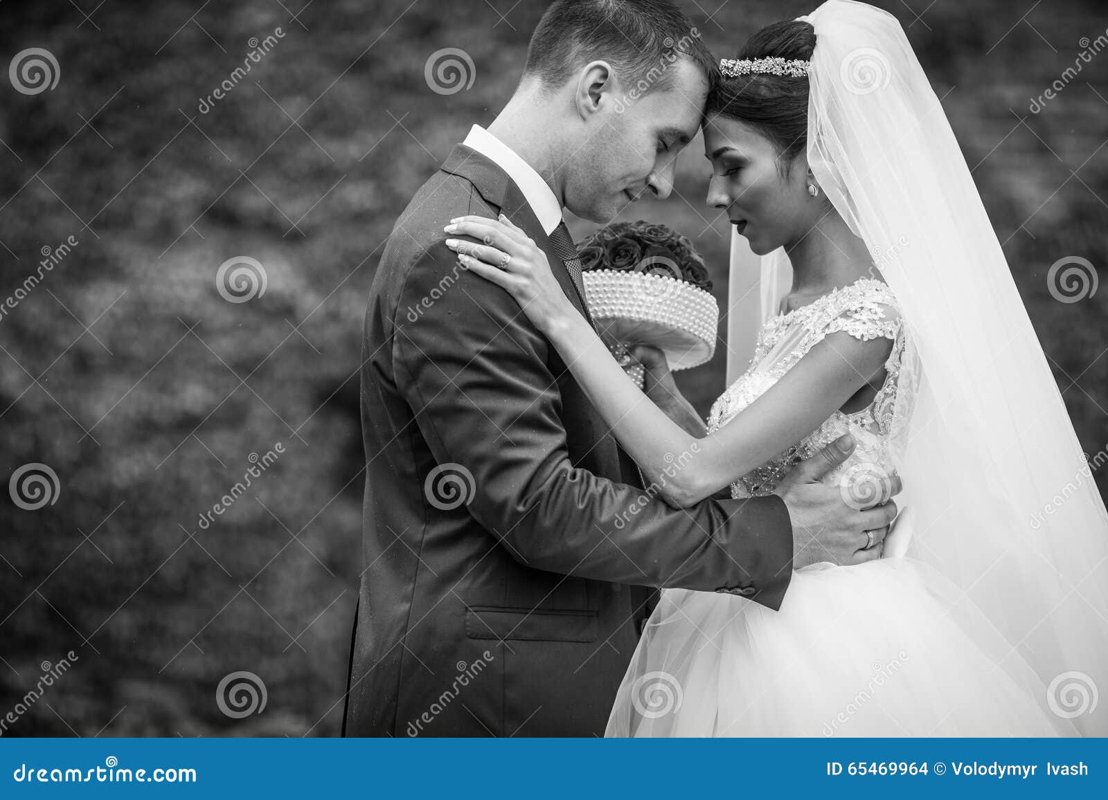 Primer de los valentynes del recién casado que abrazan en un backgroun de las vides del parque. Primer de los valentynes del recién casado que abrazan en un b&w del fondo de las vides del parque