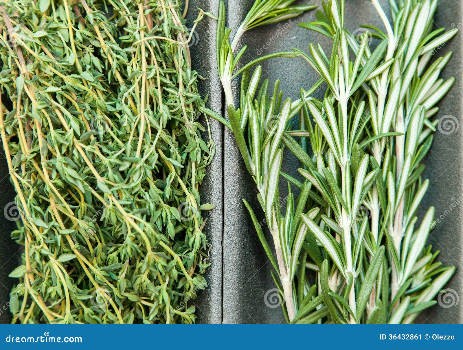 Primer De Rosemary En La Tabla Imagen de archivo Imagen de hierbas, hoja 36432861