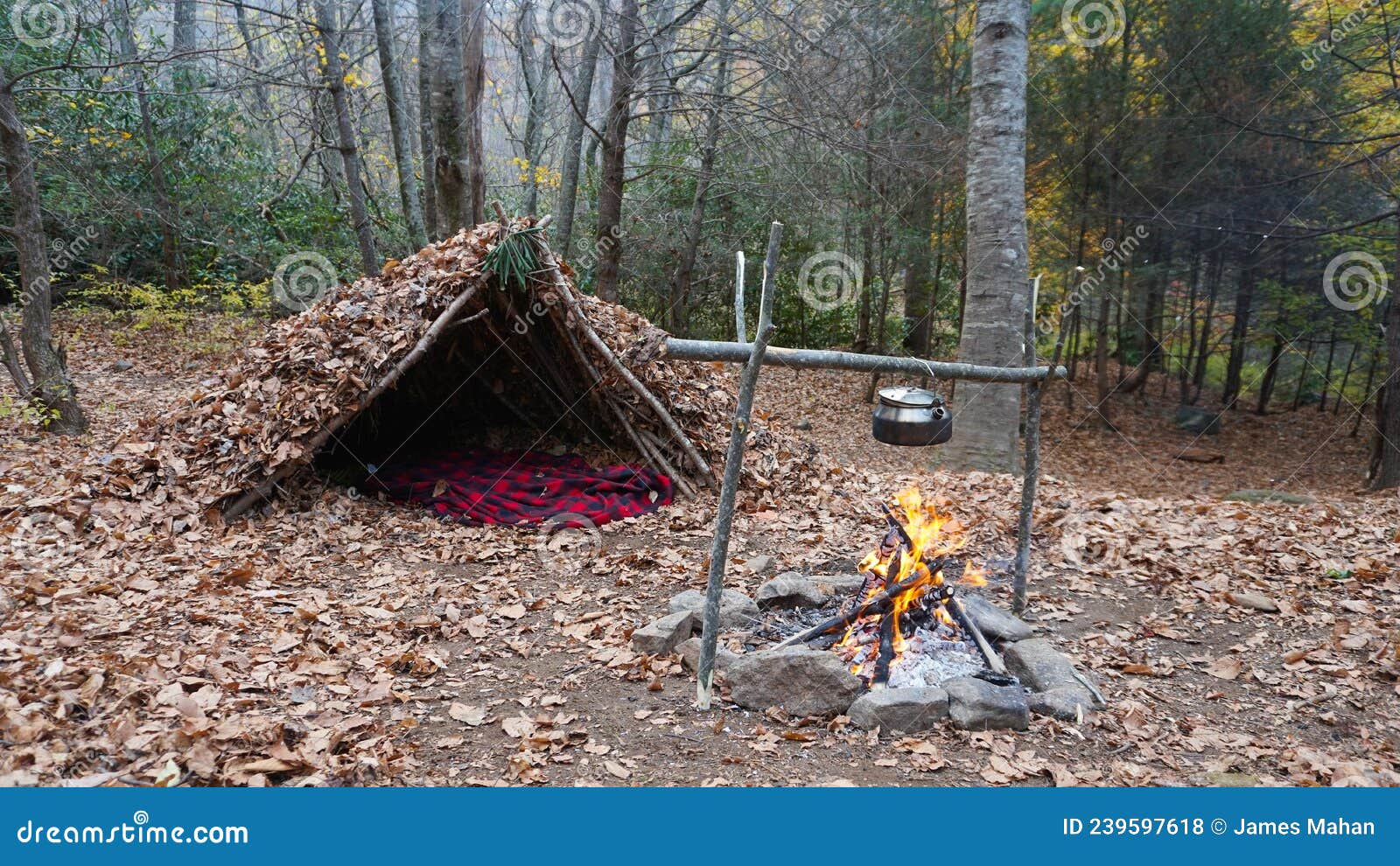Primitive Bushcraft a Frame Survival Shelter in the Blue Ridge Mountains  Near Asheville, North Carolina. Autumn Camp Setup I Stock Photo - Image of  asheville, backpack: 239597618