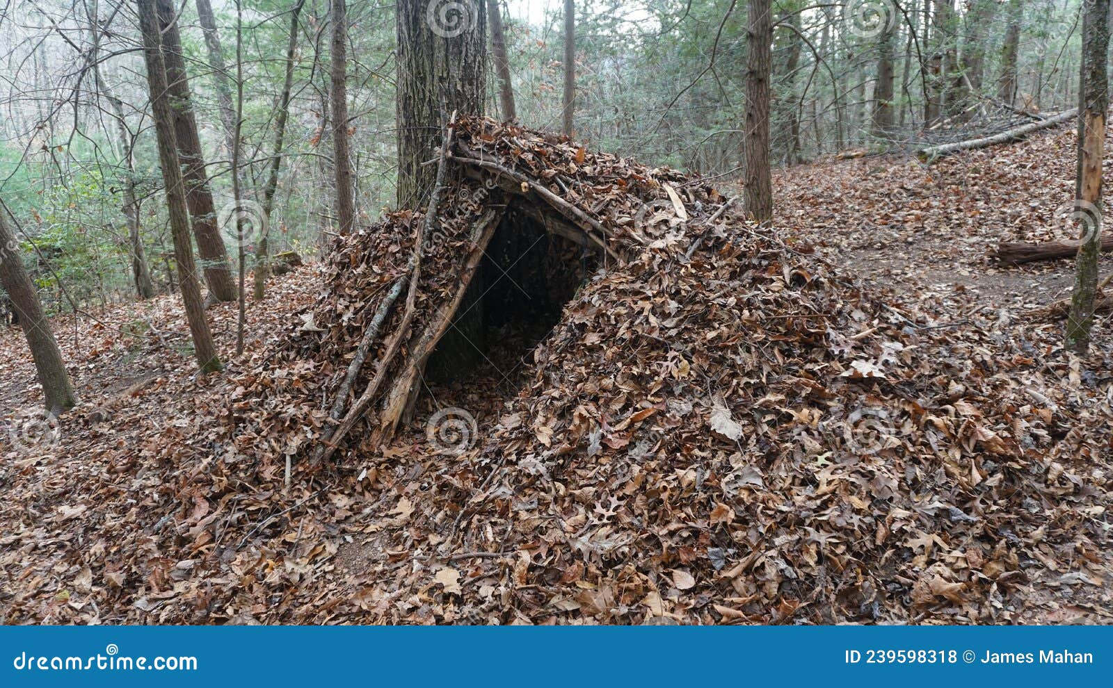 Primitive bushcraft shelter and campsite