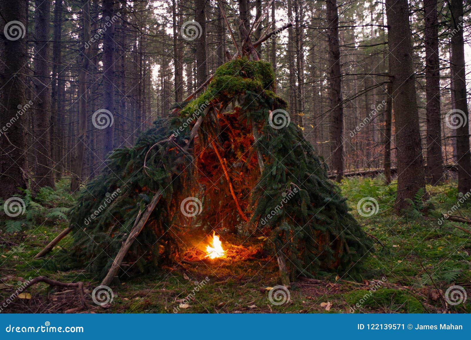 281 Bushcraft Shelter Stock Photos - Free & Royalty-Free Stock