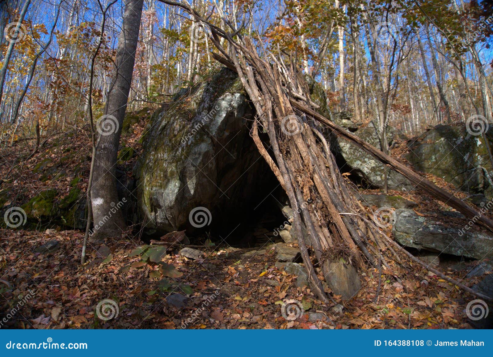 Primitive bushcraft shelter and campsite