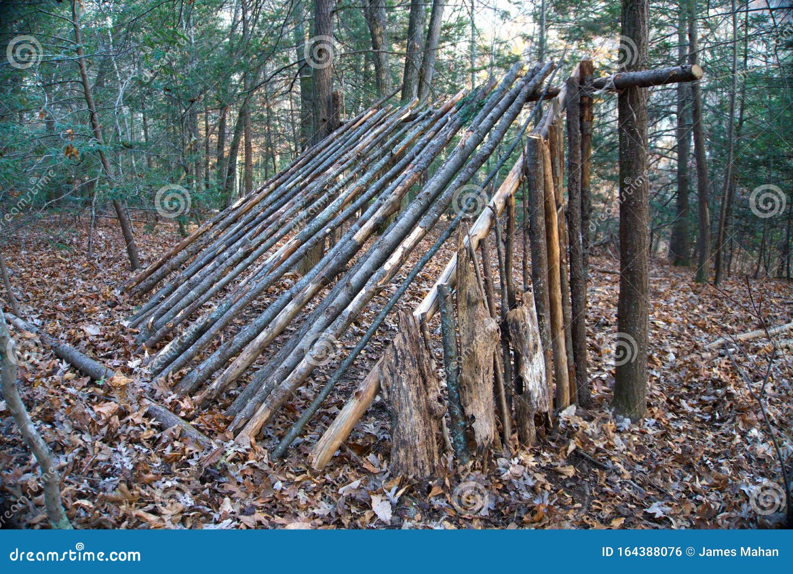 Primitive Lean To Survival Shelter in the Forest. Makeshift Campsite in the  Wilderness. Essential Bushcraft Skill Stock Photo - Image of homeless,  primitive: 164388076