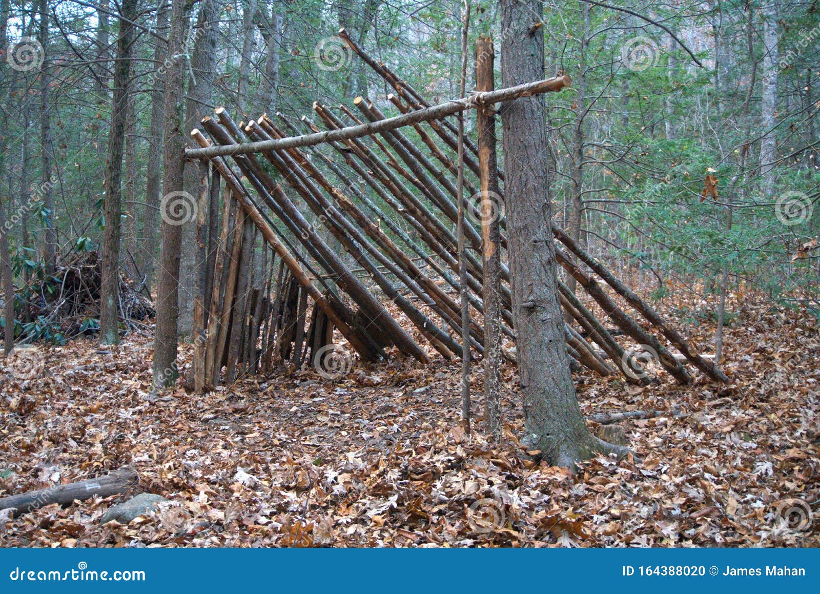 Bushcraft Lean To Cheap Store Contratacion fundovidaips bushcraft-lean-to-cheap-store-contratacion-fundovidaips