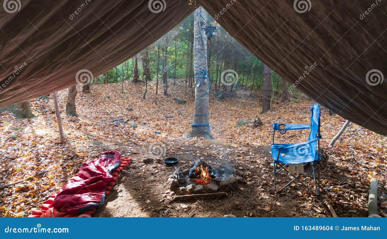 986 Bushcraft Camp Stock Photos - Free & Royalty-Free Stock Photos