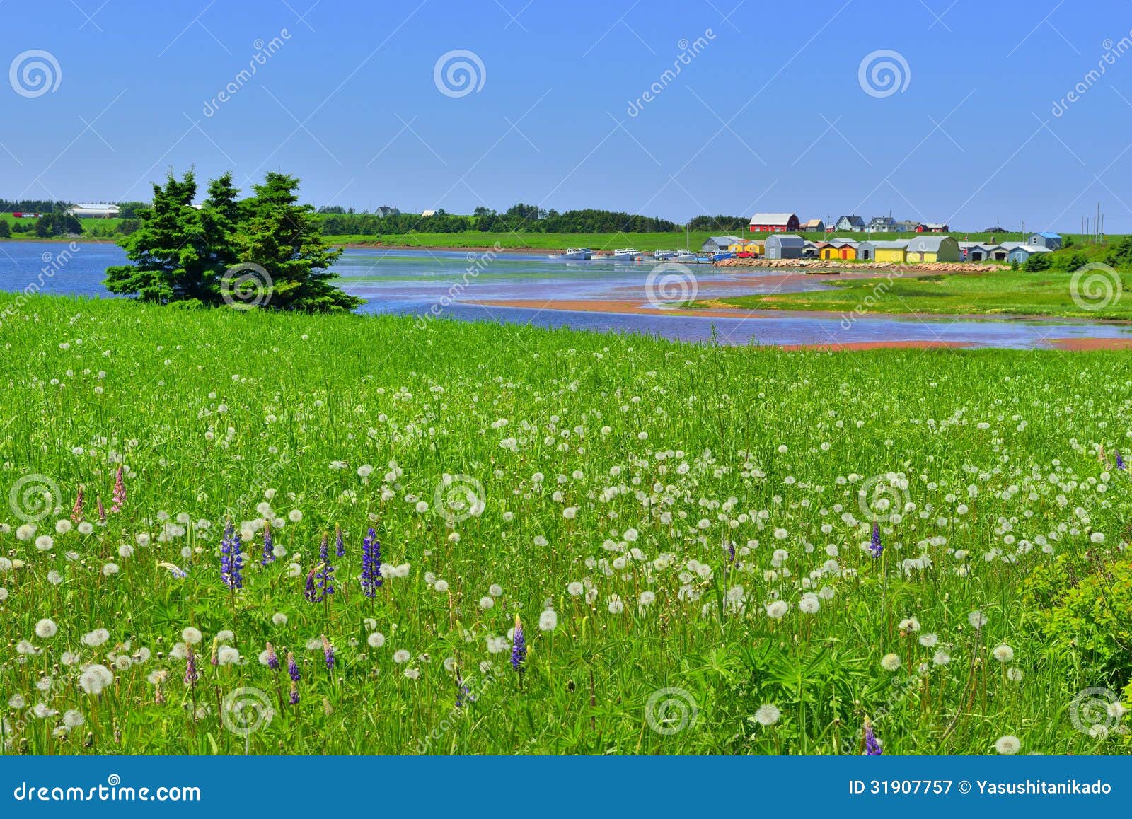 prince edward island summer time