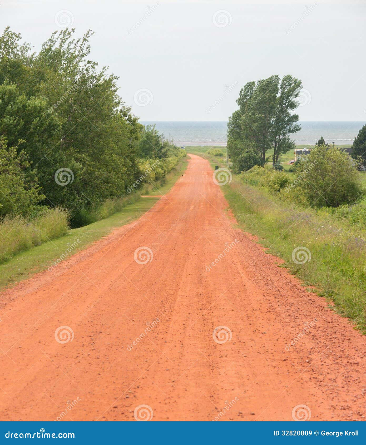 breng de actie overschrijving uitvegen Prince Edward Island Gravel Road Stock Image - Image of lane, gravel:  32820809