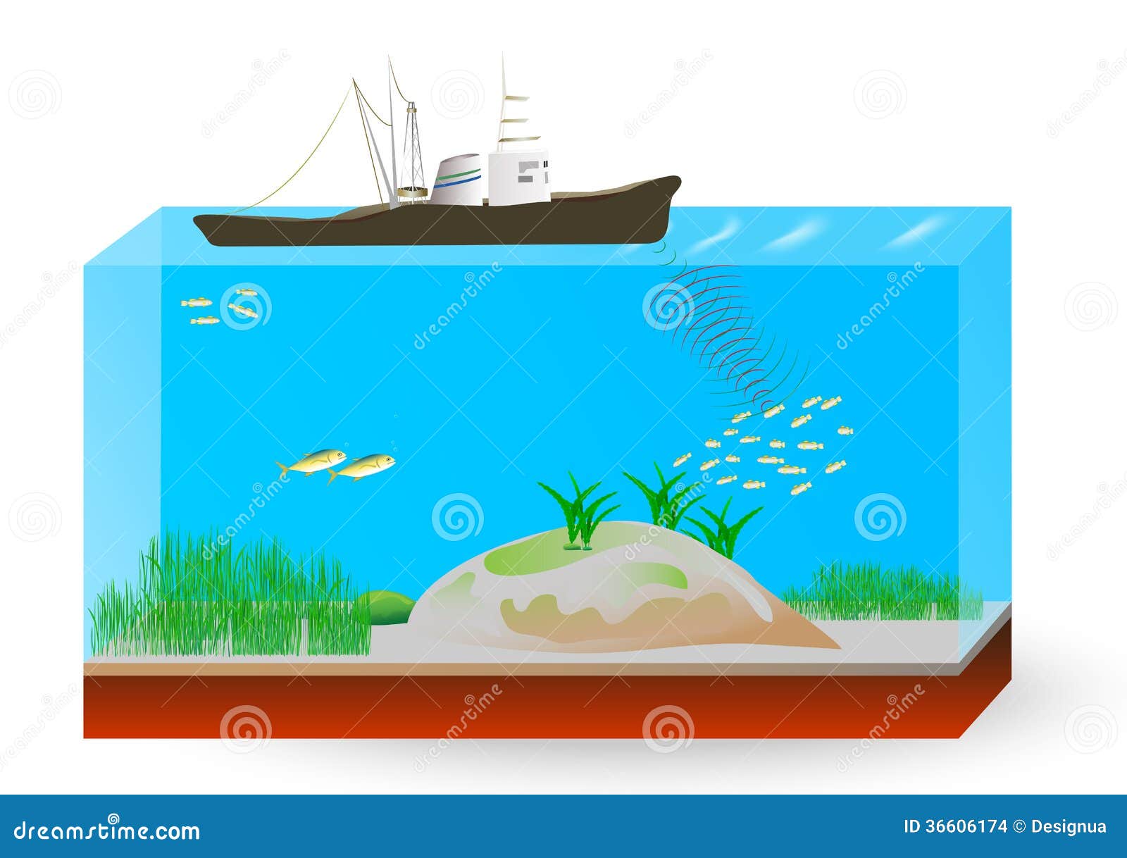 principle of operation of underwater sonar