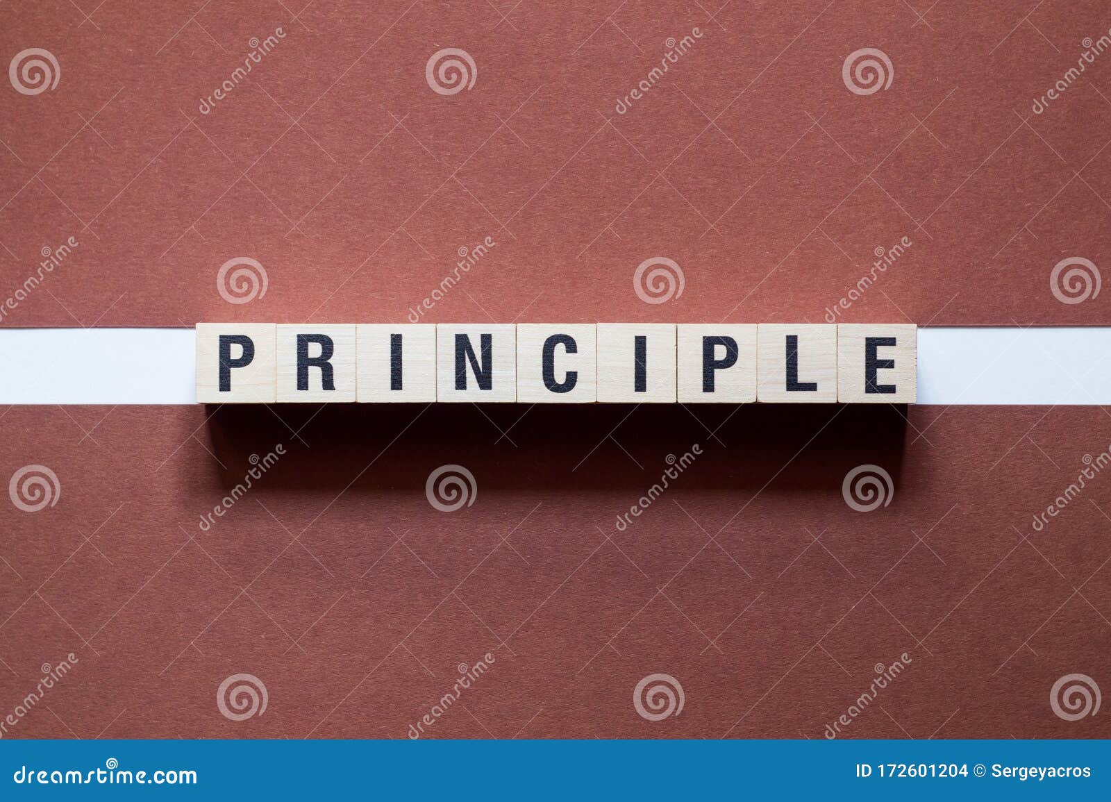 PRINCIPLE AND CONCEPT MEANING visual data 8