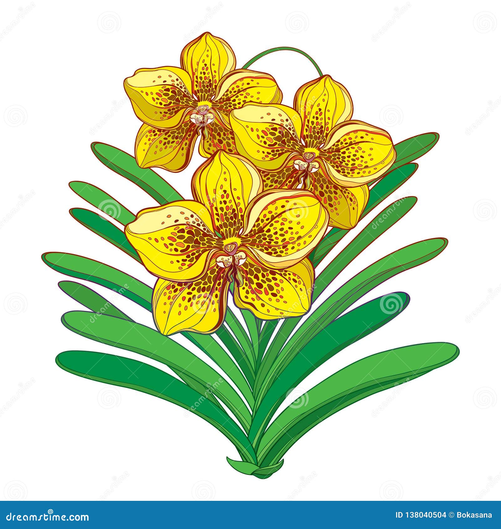 Vector Bouquet with Outline Yellow Vanda Orchid Flower and Green Leaf Isolated on White