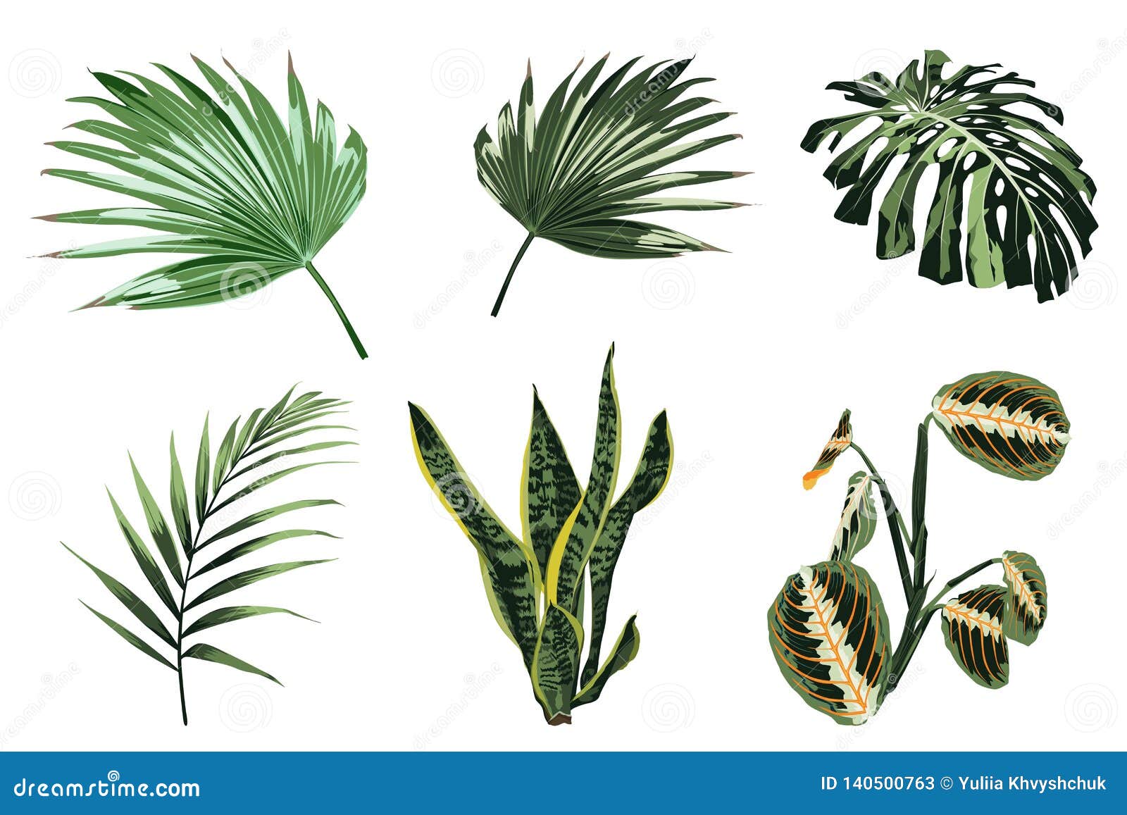 tropical plants, leaves and palms set. exotic s, floral s , hawaiian bouquet.