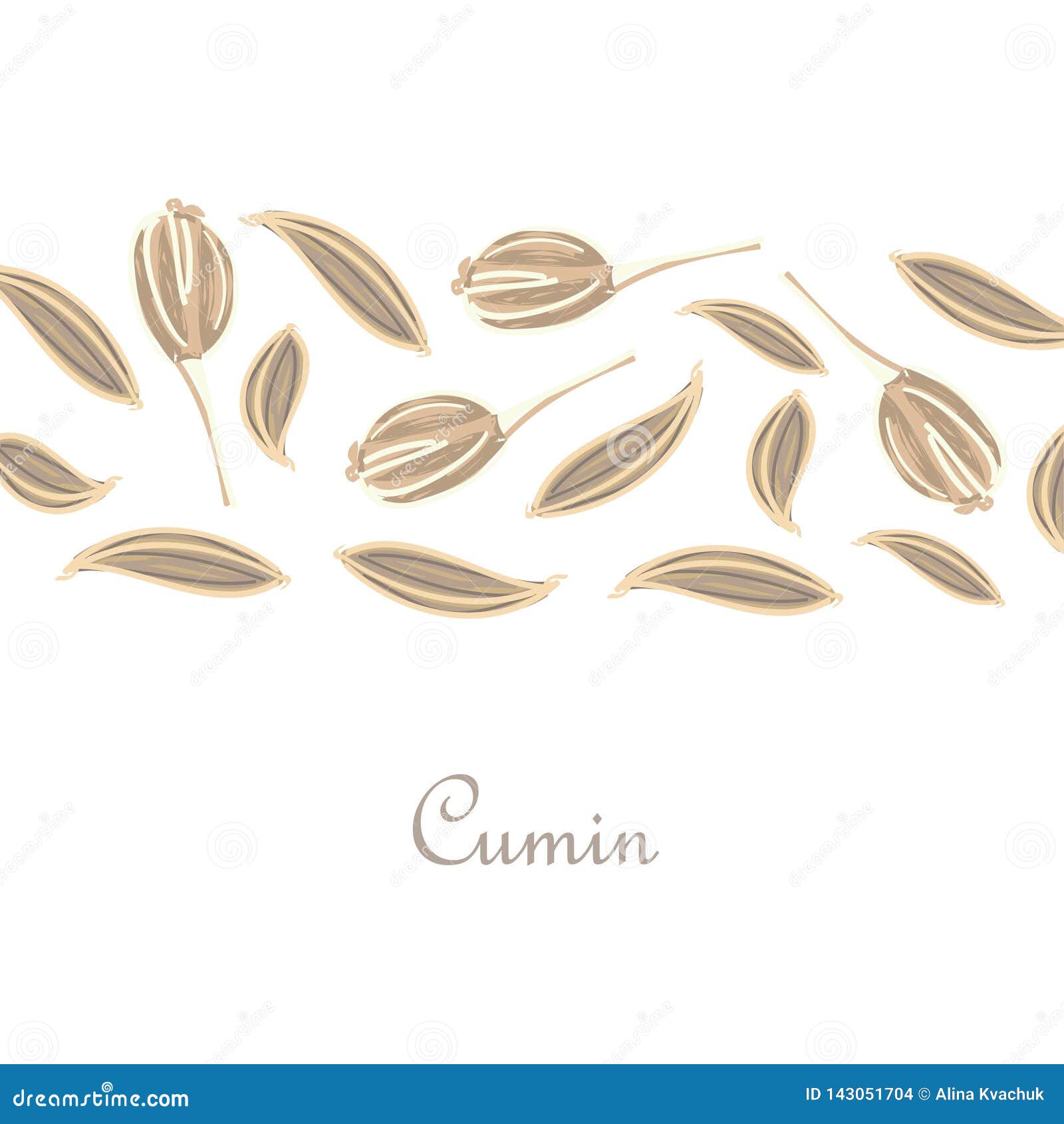 Pattern of Cumin Seeds. Culinary Aromatic Spices Stock Illustration
