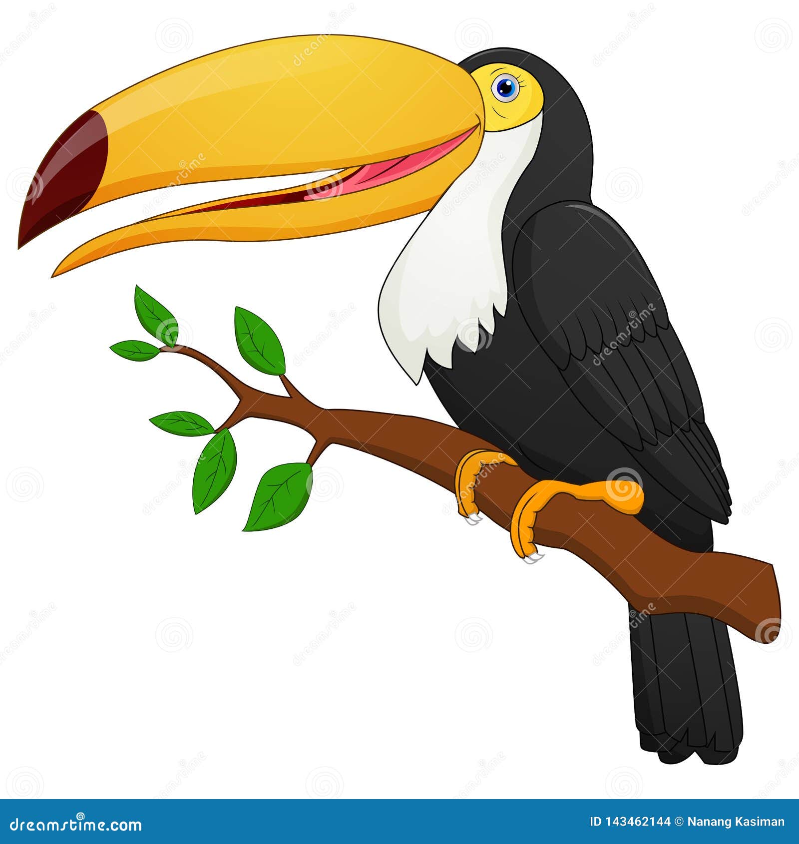 Cute toucan bird cartoon stock vector. Illustration of feather - 143462144