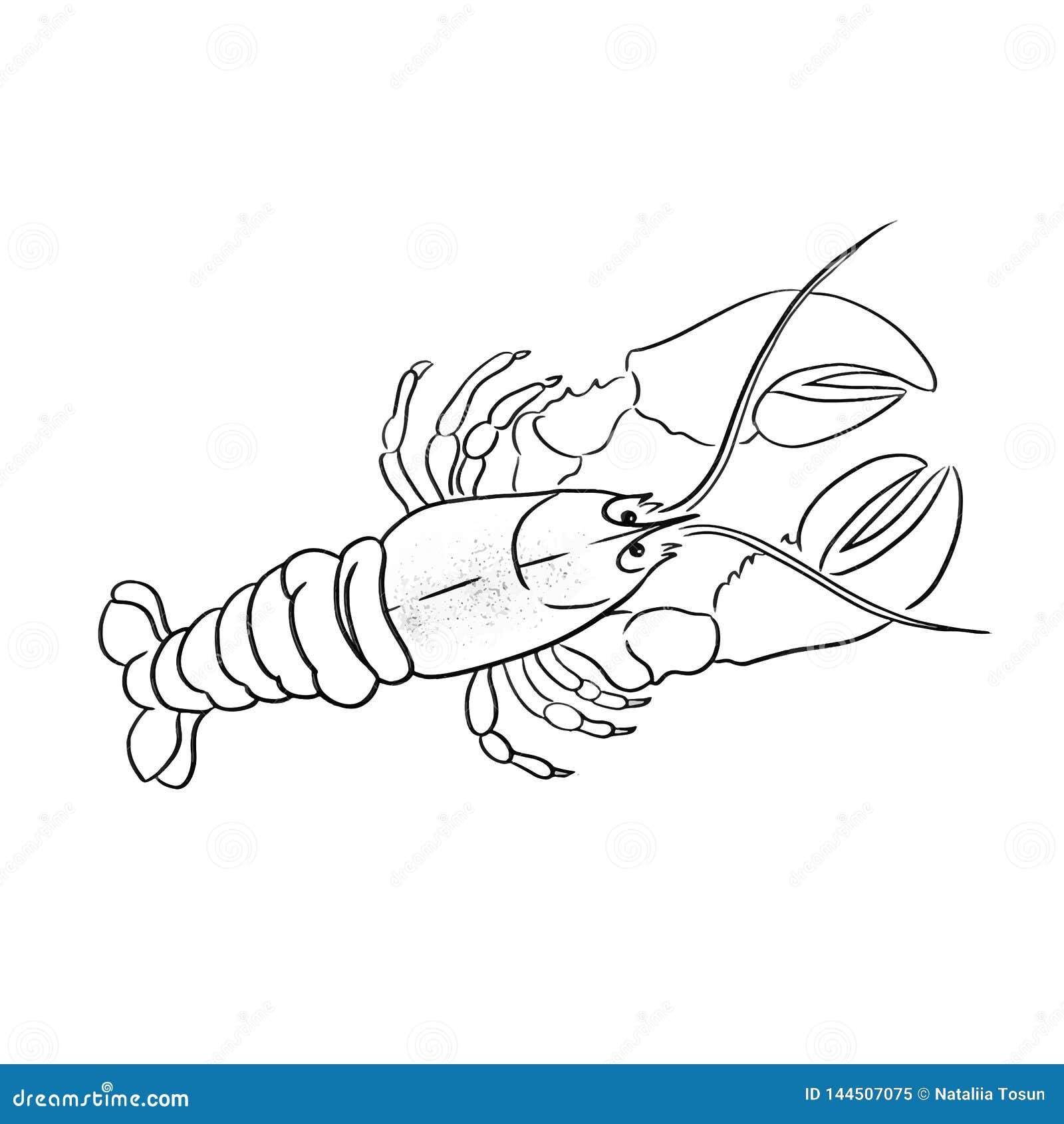 Beautiful Art Print Crawfish Line Vector Illustration Stock