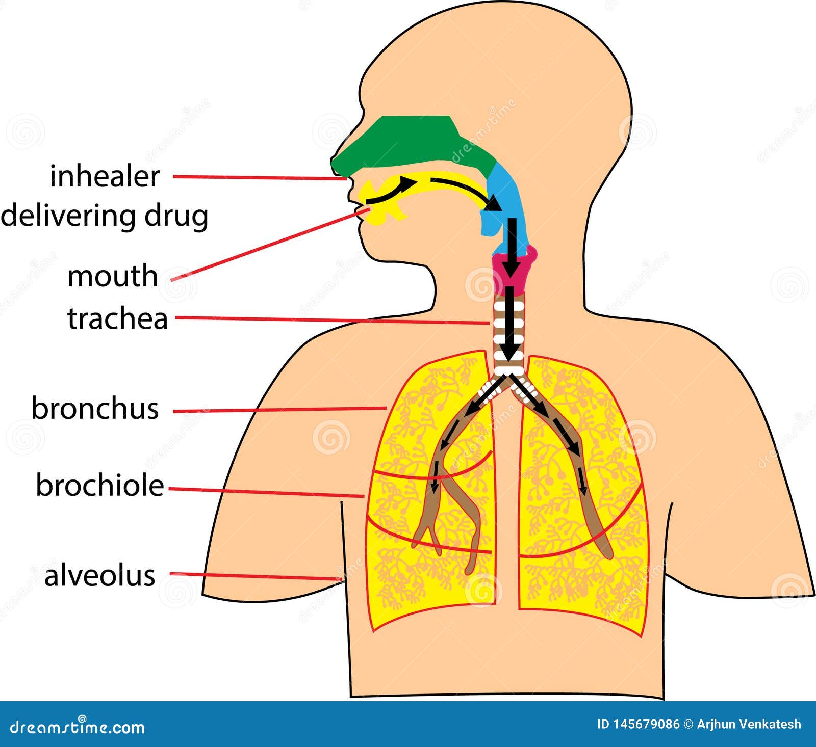 creative human body  with touch points words