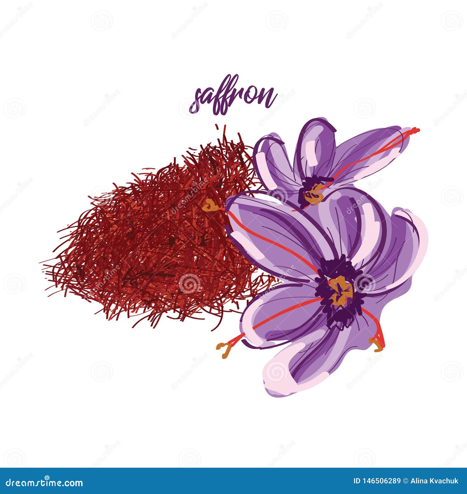 Saffron Vector Bright Icon Isolated on Background with Text. Hand Drawn