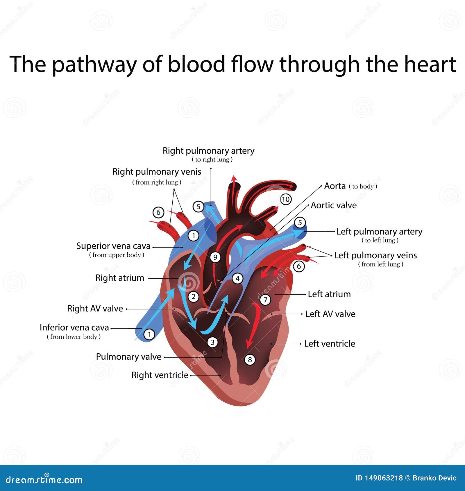 Free Free Heart Disease Svg 546 SVG PNG EPS DXF File