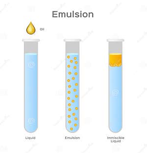 Emulsion Of Two Liquids Oil And Water Immiscible Vector Stock Vector