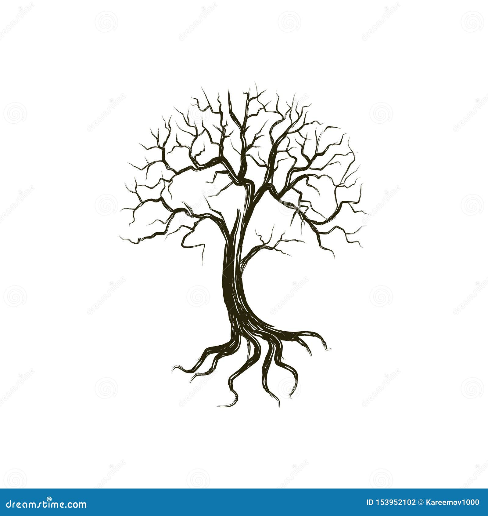 Tree Roots Logo Vector Hd Images, Tree And Roots Vector With Round Shape, Tree  Drawing, Roots Drawing, Shape Drawing PNG Image For Free Download