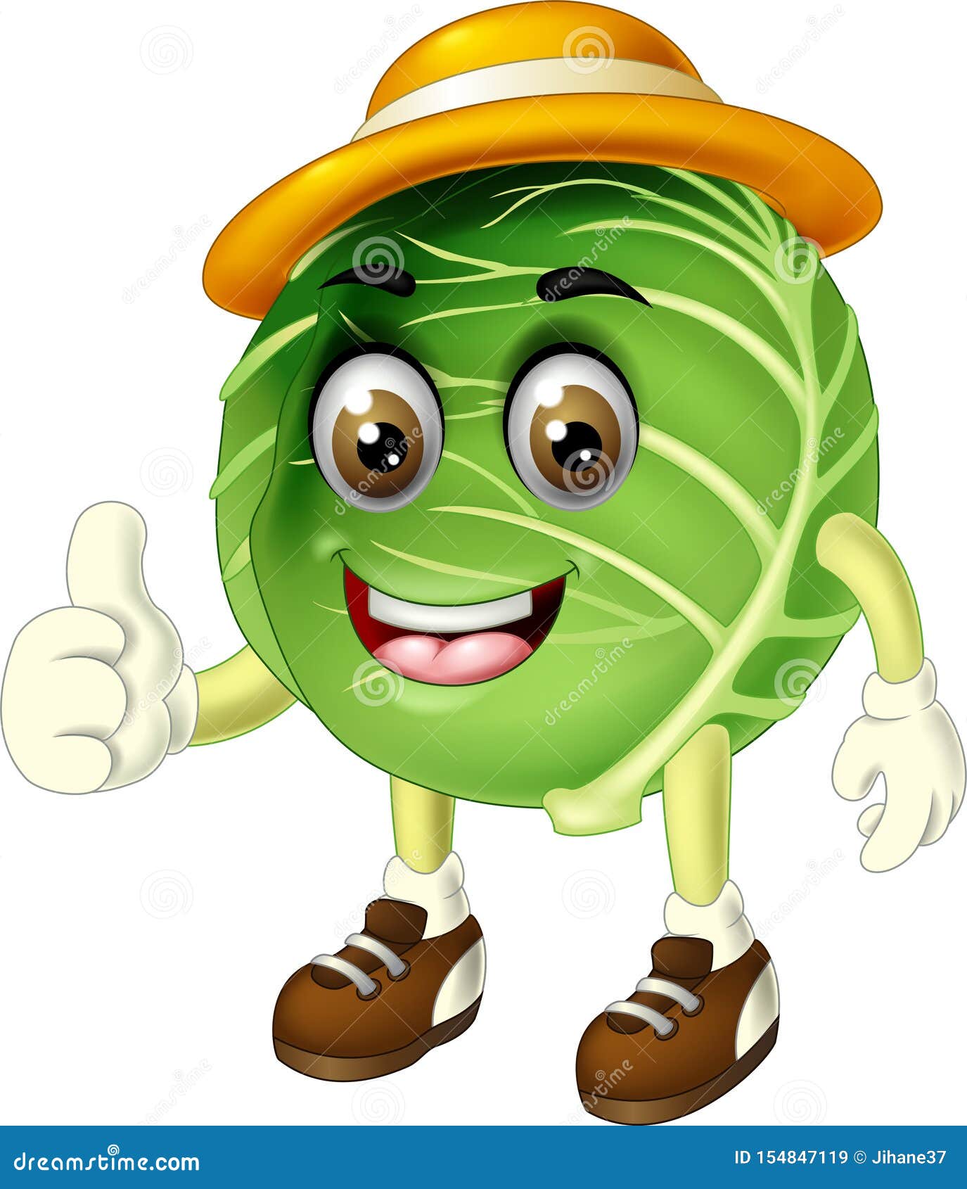 Cabbage Cartoon 26876859