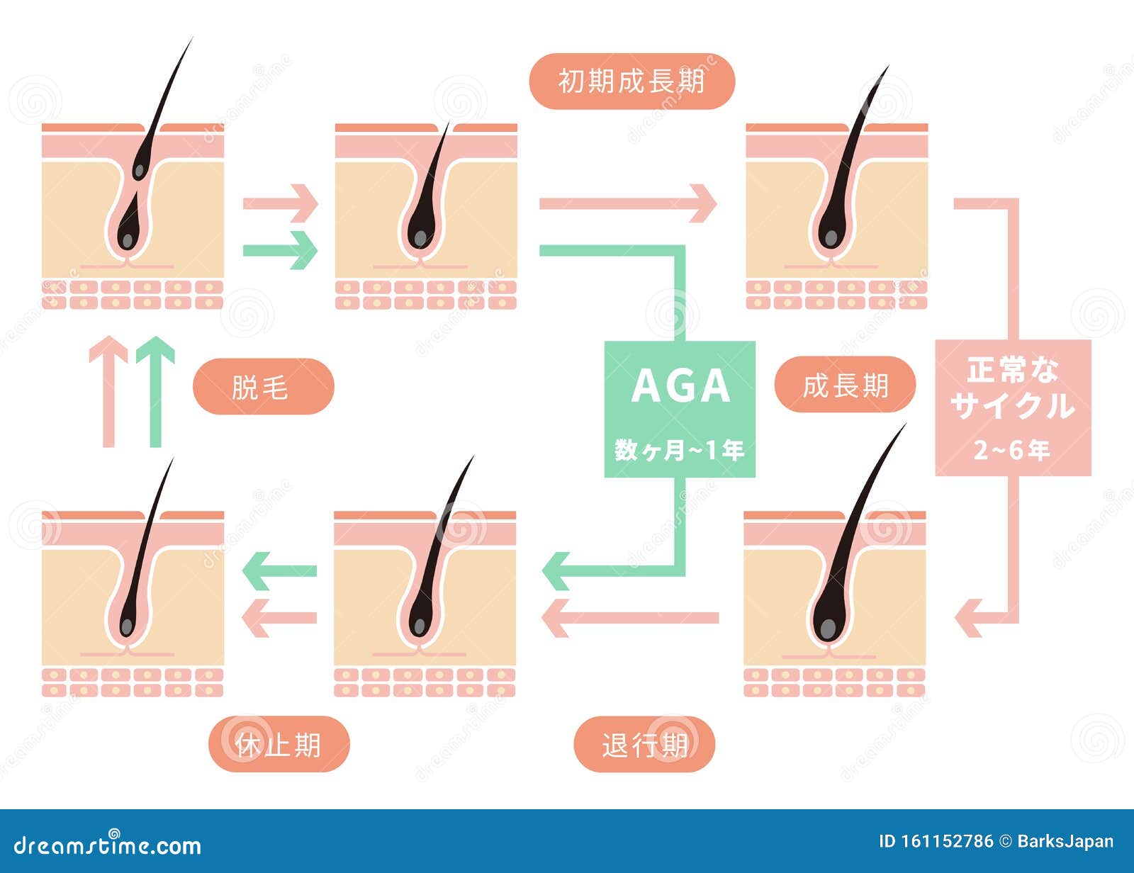 Aga Stock Illustrations 137 Aga Stock Illustrations Vectors Clipart Dreamstime Aga Stock Illustrations 137 Aga Stock Illustrations Vectors Clipart Dreamstime