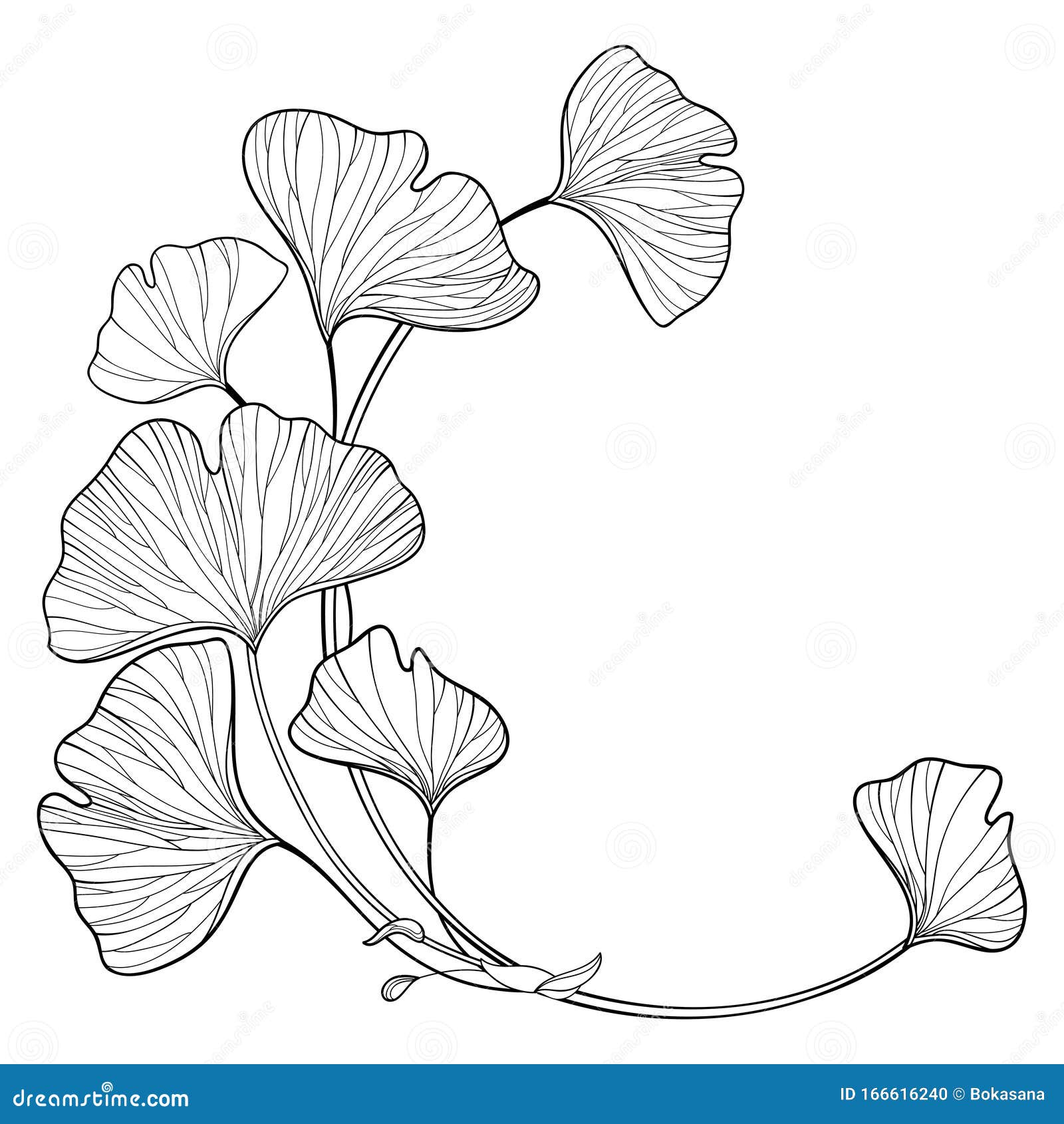 Ginkgo Biloba Leaves Pictograms Vector Illustration | CartoonDealer.com