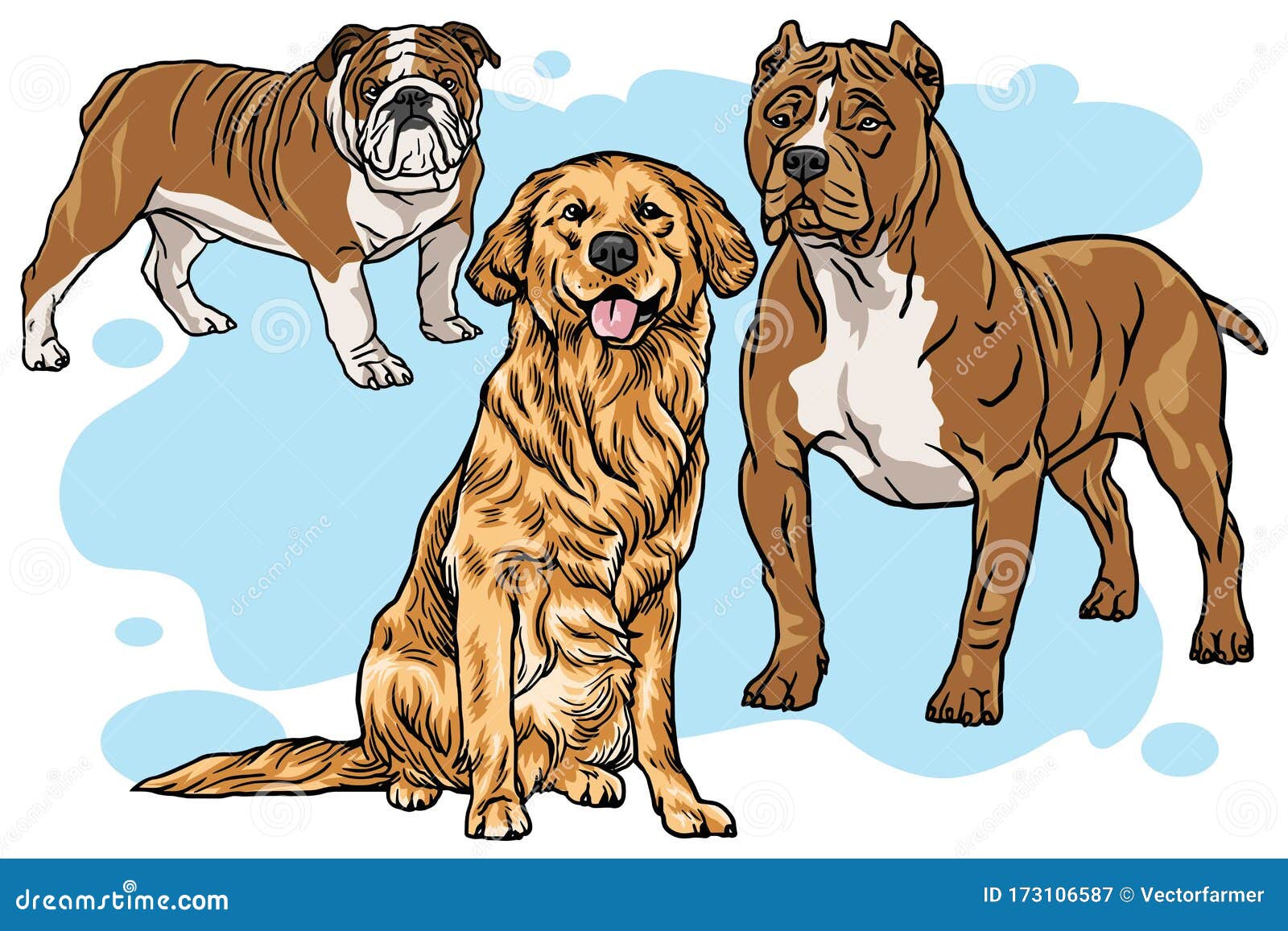 Dogs Vector Cartoon Drawing Set Collection. Bulldog, Golden Retriever,  Pitbull Illustration Stock Vector - Illustration of cartoon, book: 173106587