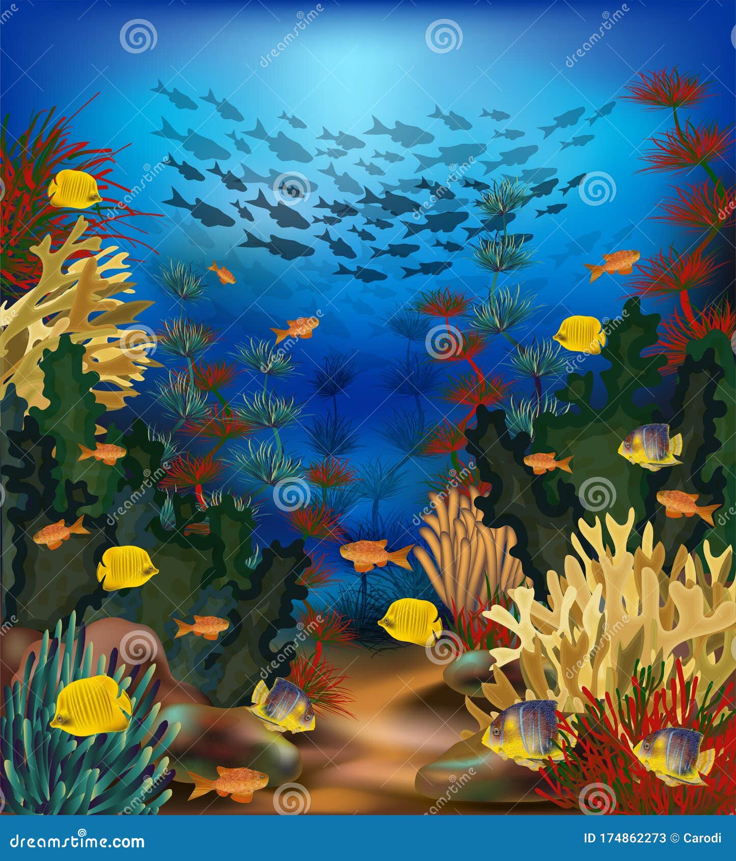 Free download fish ocean underwater wallpaper 2560x1600 124246 WallpaperUP  2560x1600 for your Desktop Mobile  Tablet  Explore 47 Beautiful  Underwater Wallpaper  Underwater Backgrounds Underwater Background Underwater  Wallpapers
