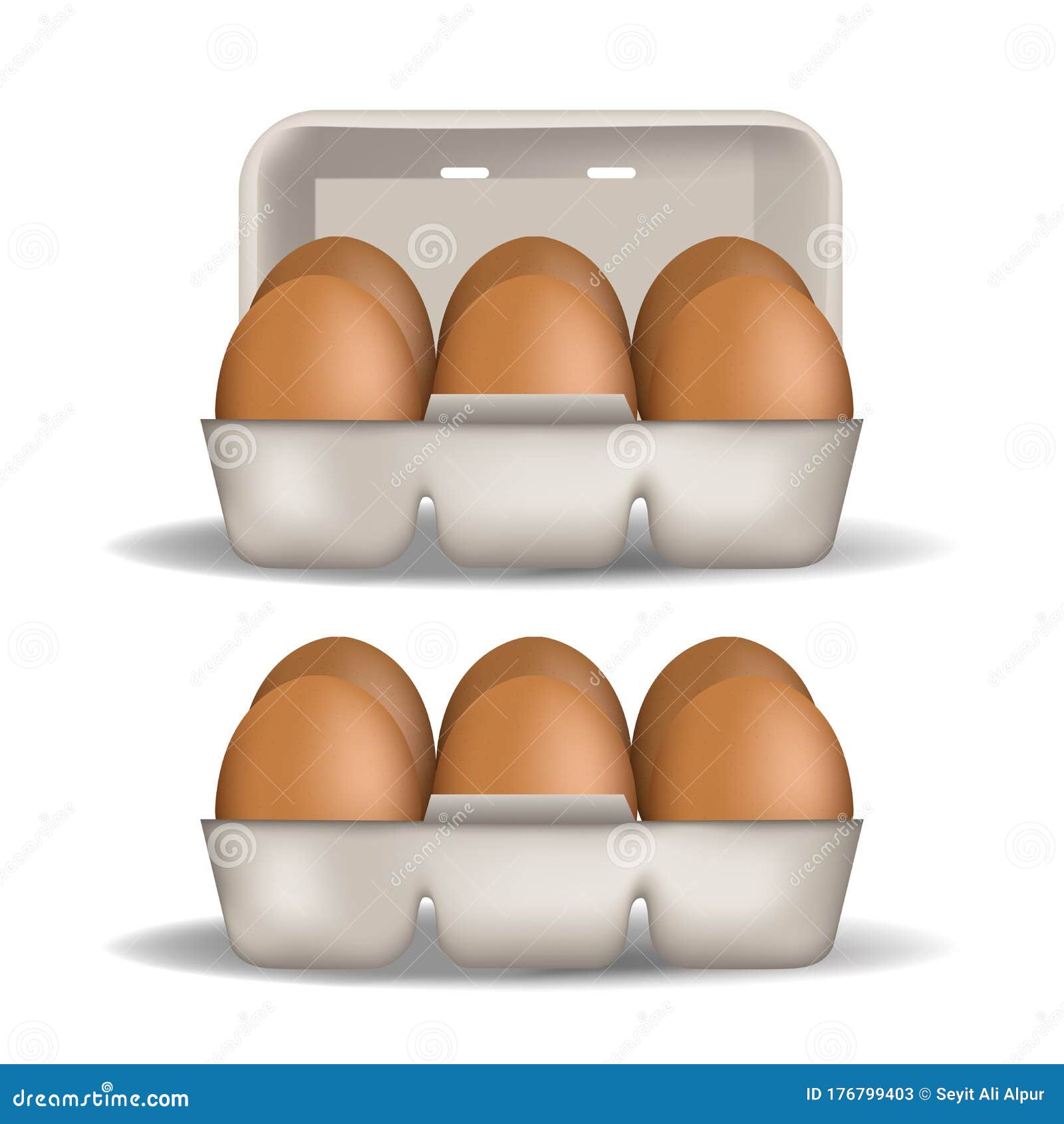 Box of eggs stock vector. Illustration of eggs, carton 176799403