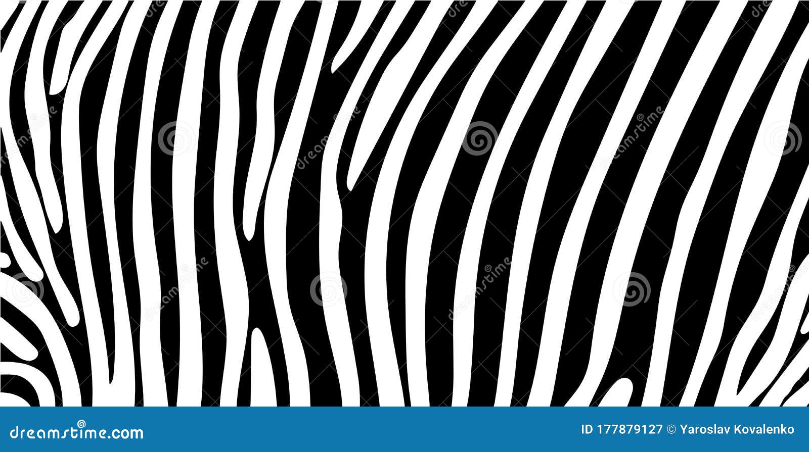 Black and White Zebra Stripes Background. Stock Illustration