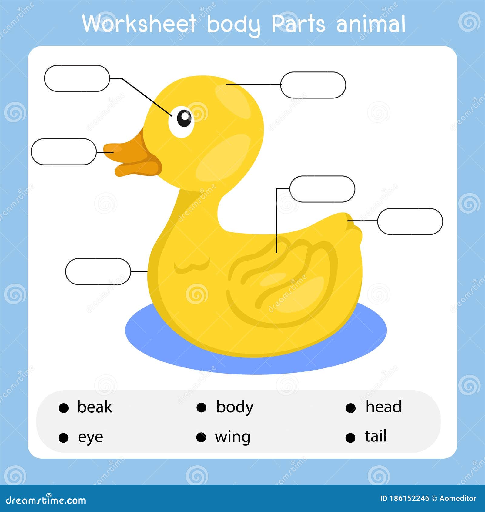 Animal Body Parts Stock Illustrations – 806 Animal Body Parts Stock Illustrations, Vectors & Clipart - Dreamstime Animal Body Parts Stock Illustrations – 806 Animal Body Parts Stock Illustrations, Vectors & Clipart - Dreamstime
