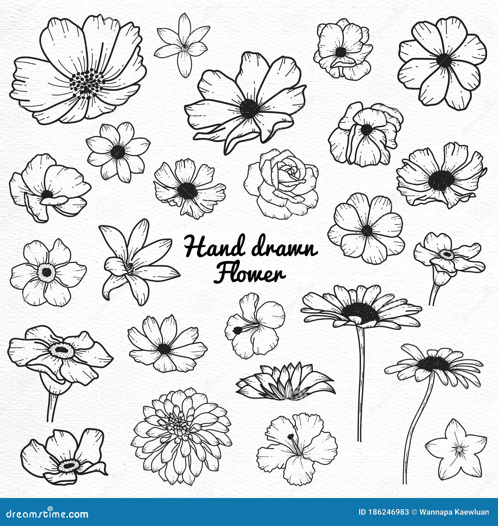 Flower Hand Drawn Sketch Vector Illustration Collection Stock Vector