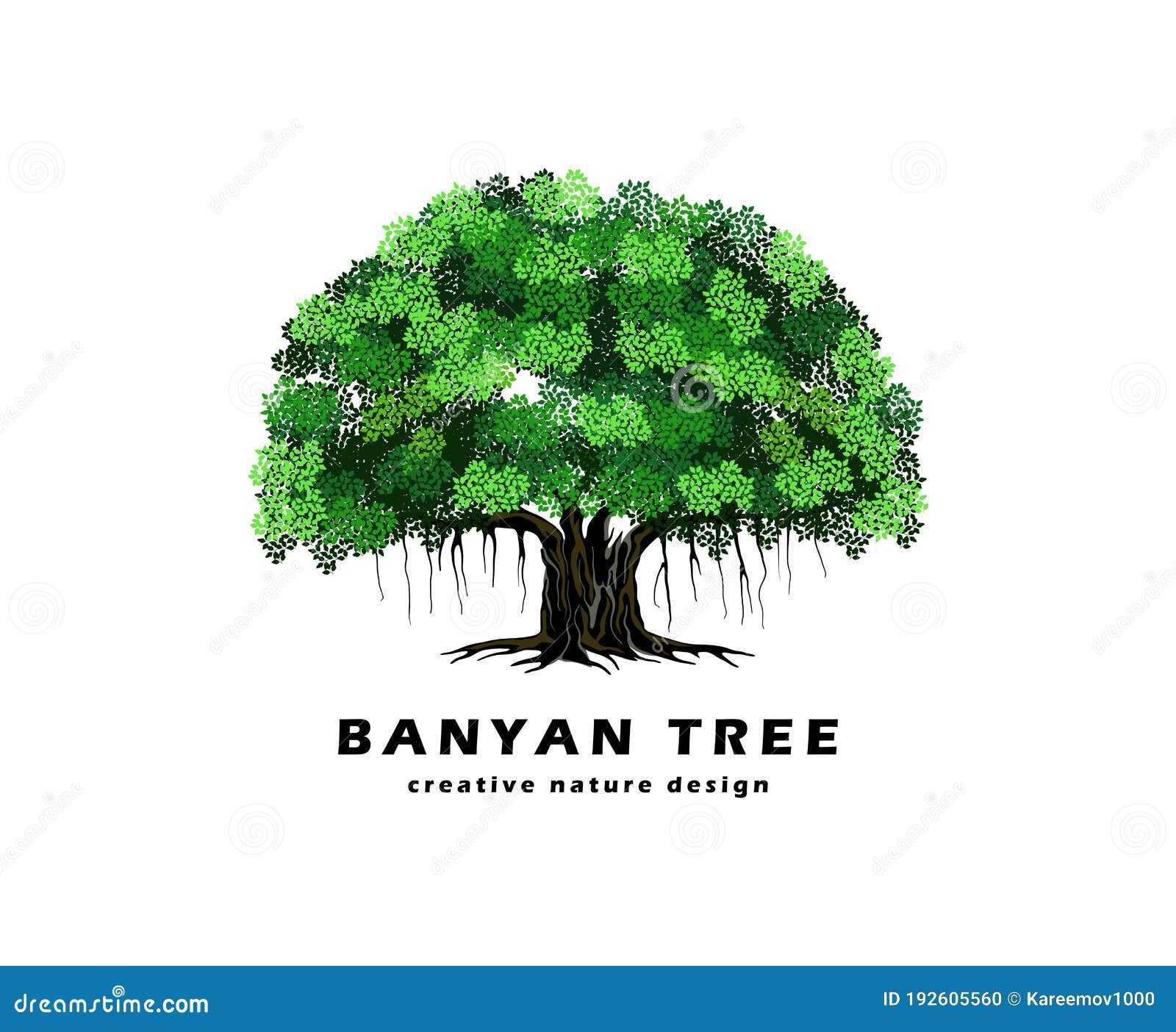 banyan tree   . ancient plant.